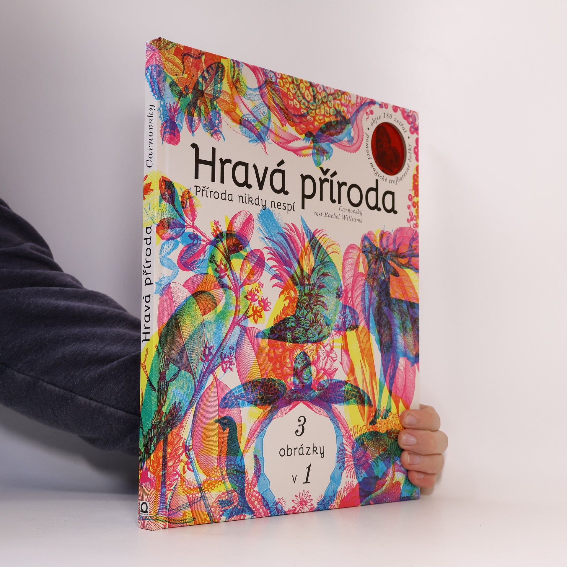 Rachel Williams Hravá příroda - Příroda nikdy nespí