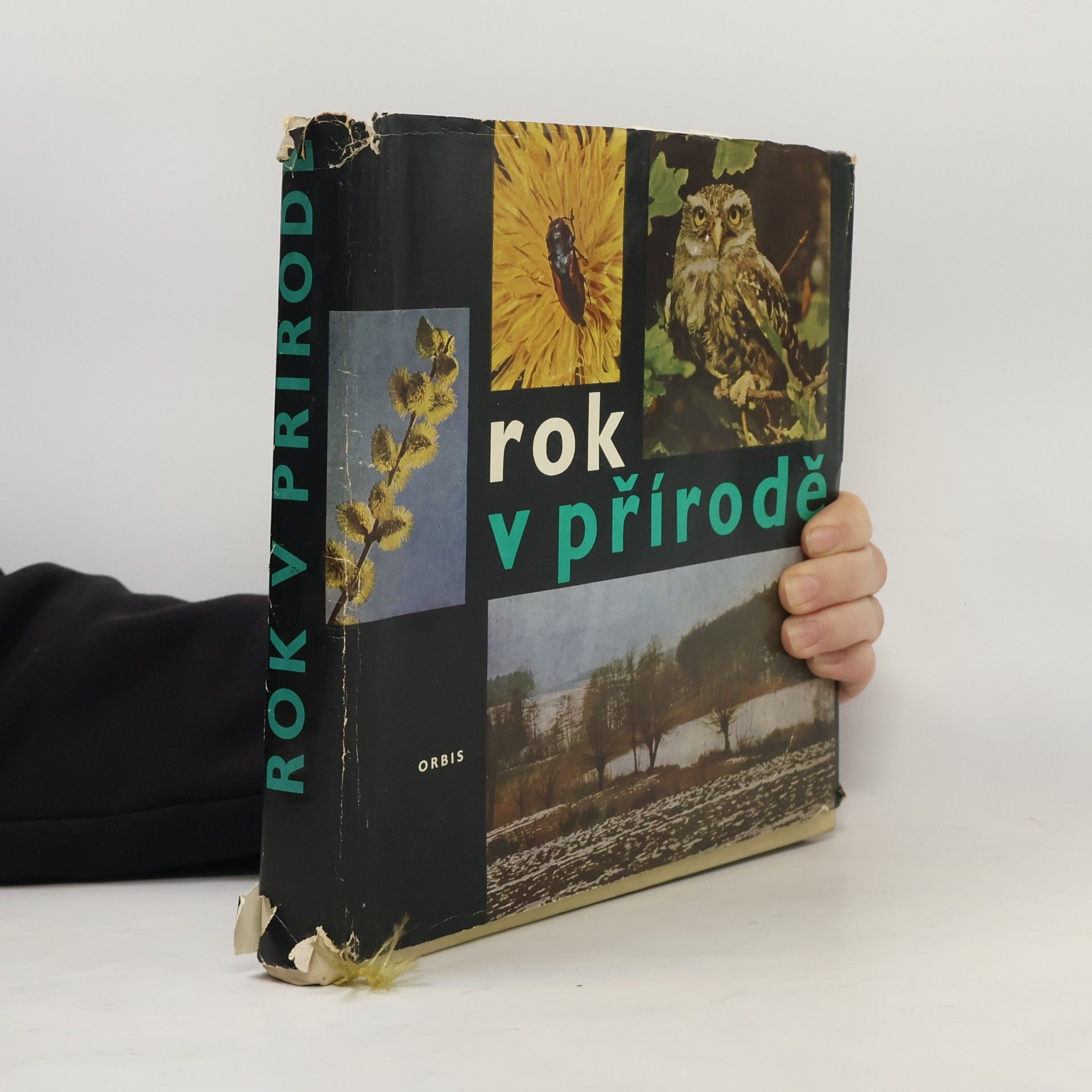 Tomislav Neklan Rok v přírodě