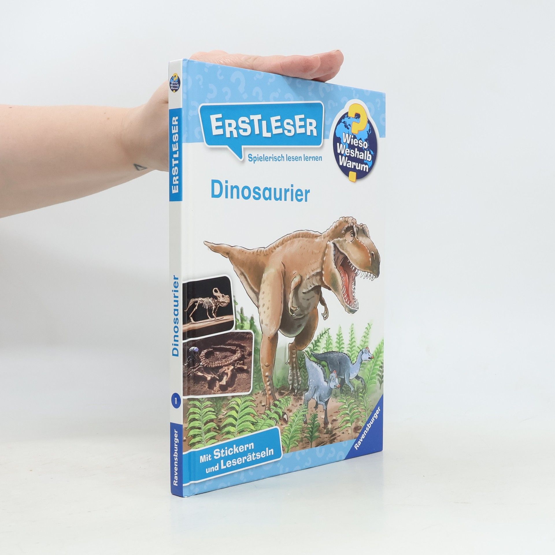 Autorenkollektiv Dinosaurier