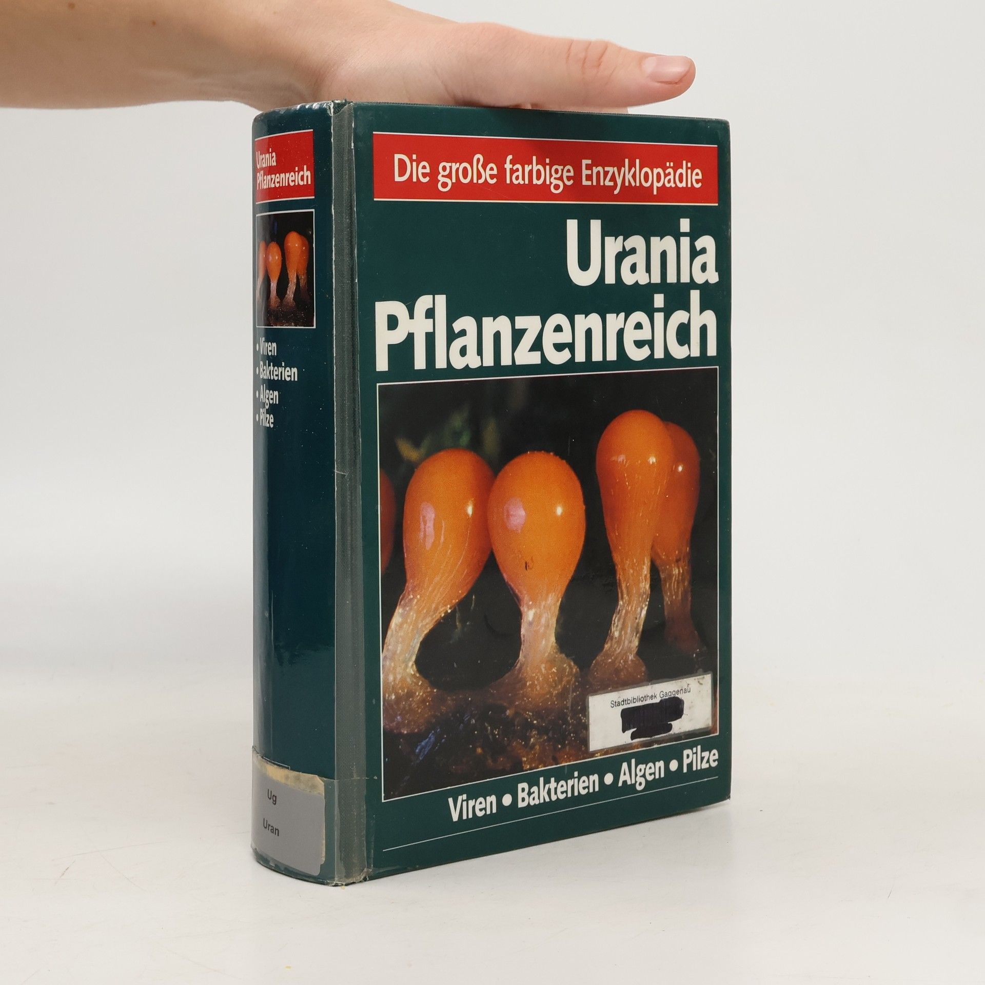 Urania Pflanzenreich: Viren, Bakterien, Algen, Pilze