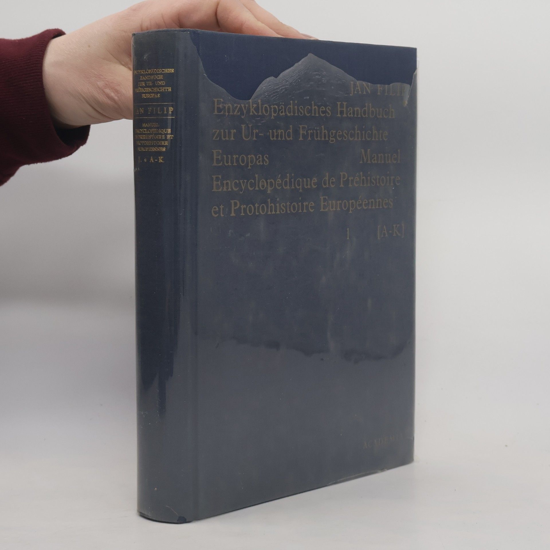 Auteurscollectief Enzyklopädisches Handbuch zur Ur- und Frühgeschichte Europas 1