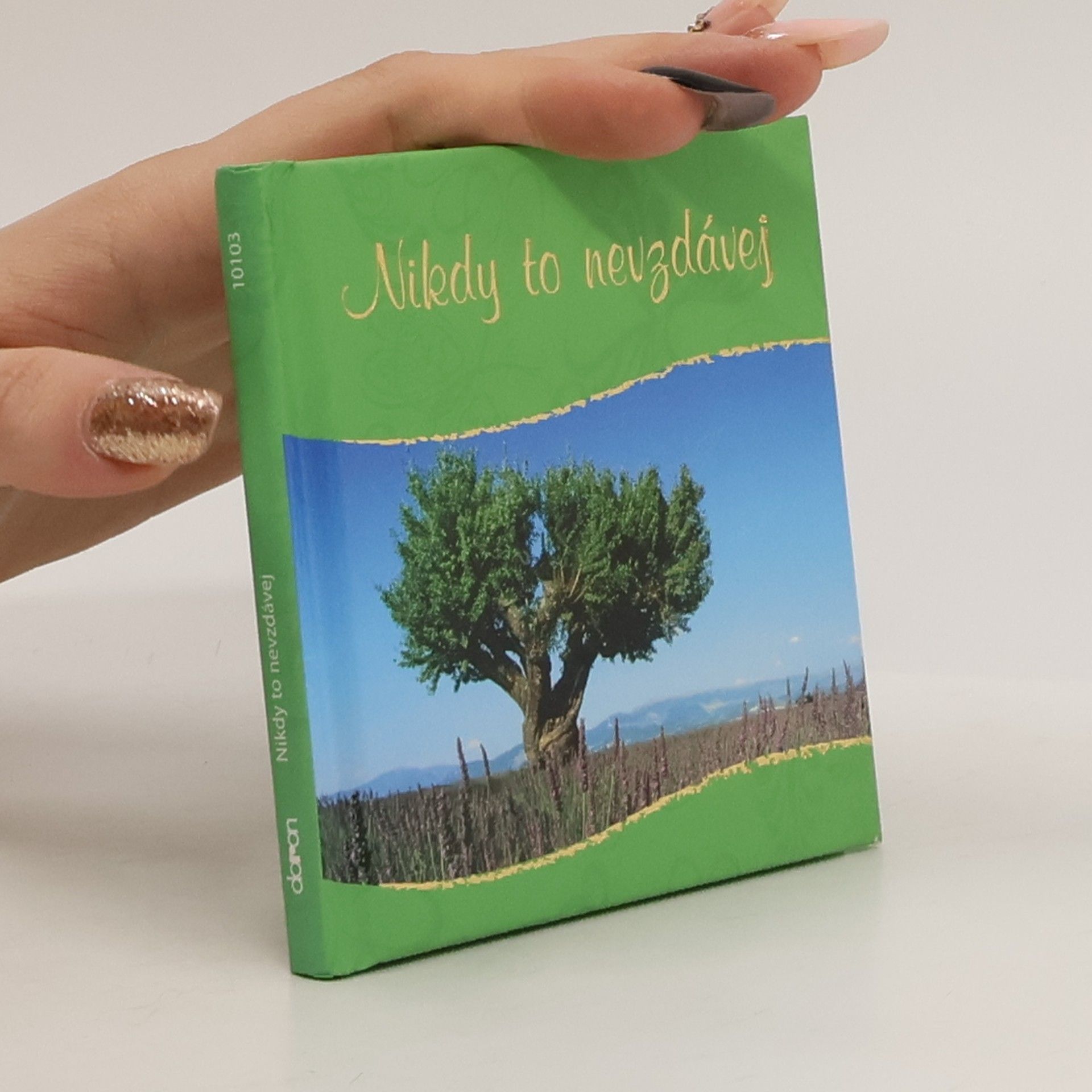 Petr Nešpor Nikdy to nevzdávej