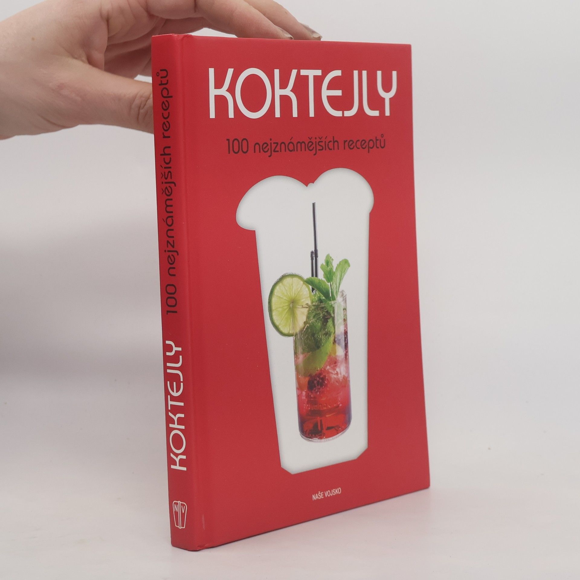 Gianfranco Di Niso Koktejly : 100 nejznámějších receptů