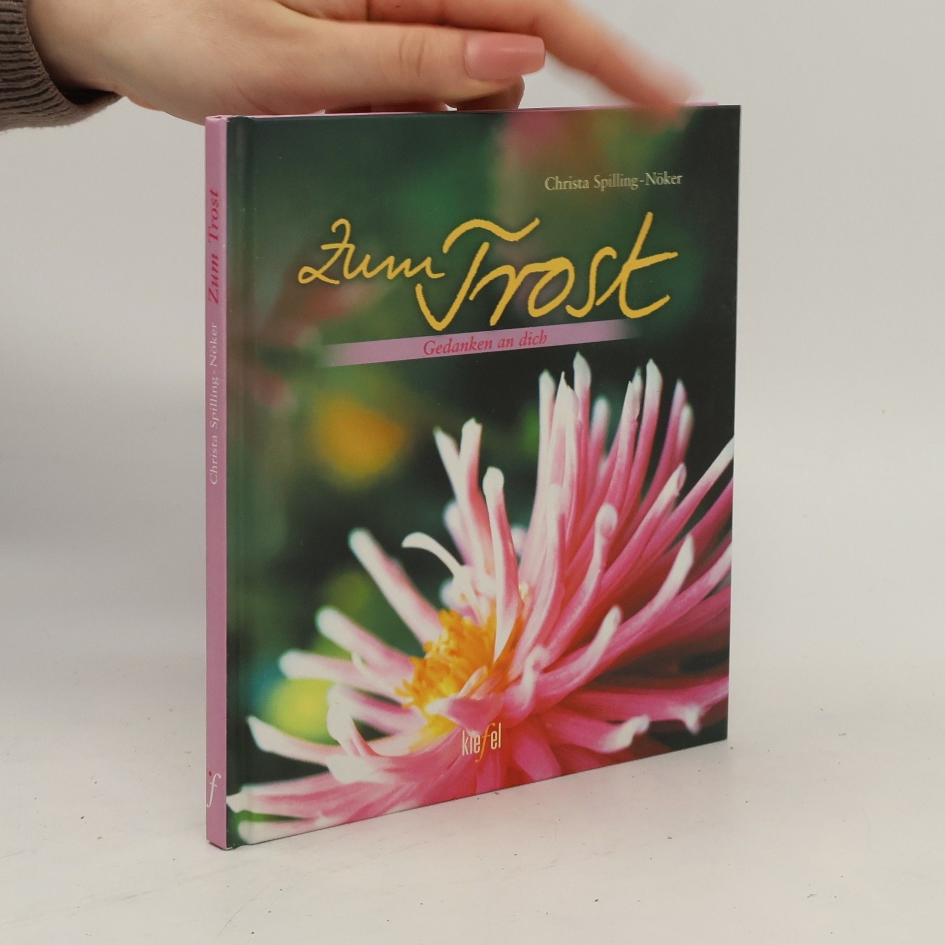 Christa Spilling-Nöker Zum Trost. Gedanken an dich