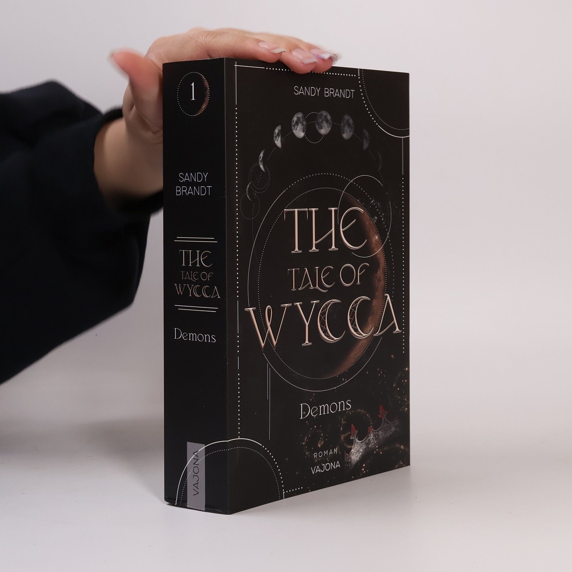 Sandy Brandt The Tale of Wycca 1. Demons