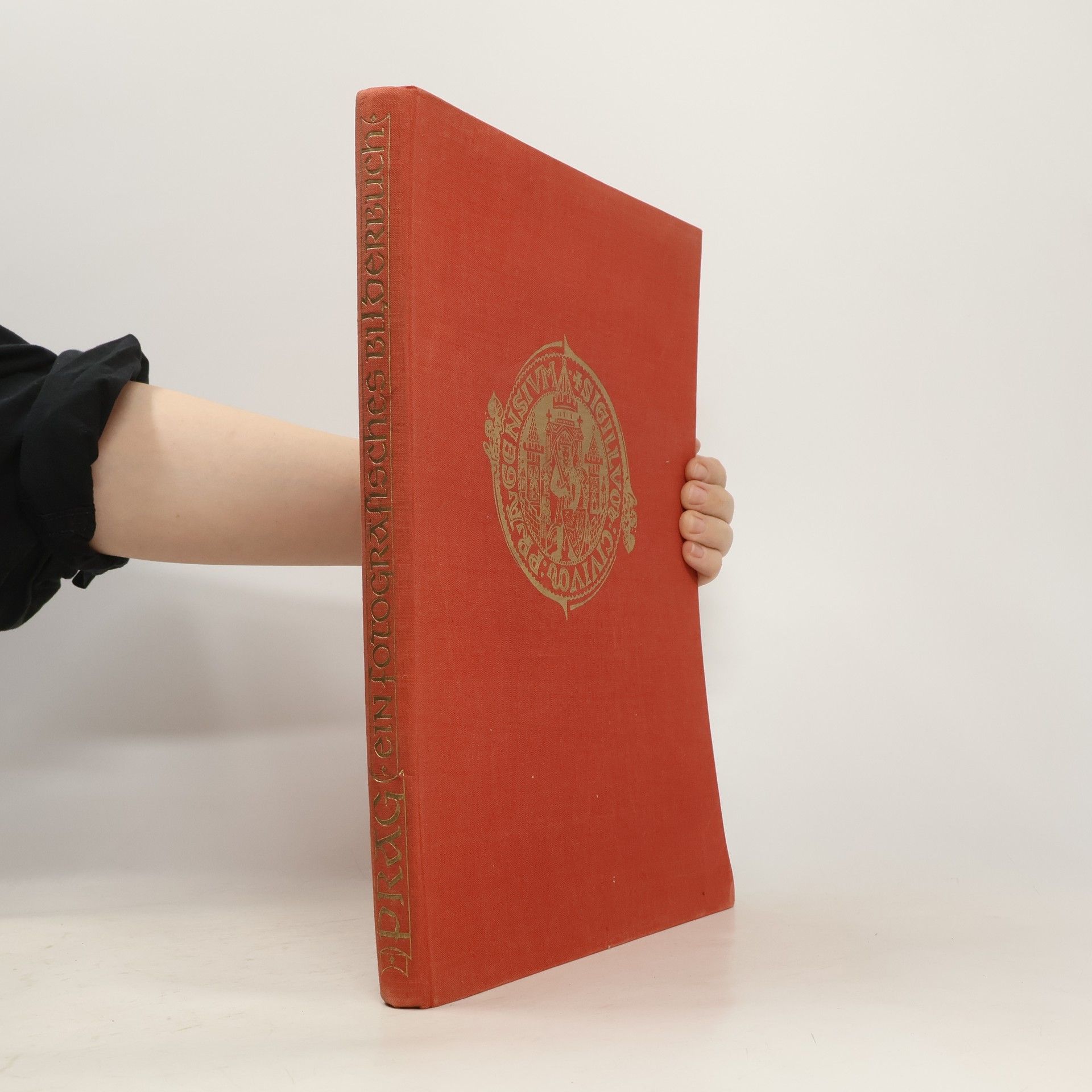 Karel Plicka Prague in photographs. Prague en images. Prag, ein fotografisches Bilderbuch