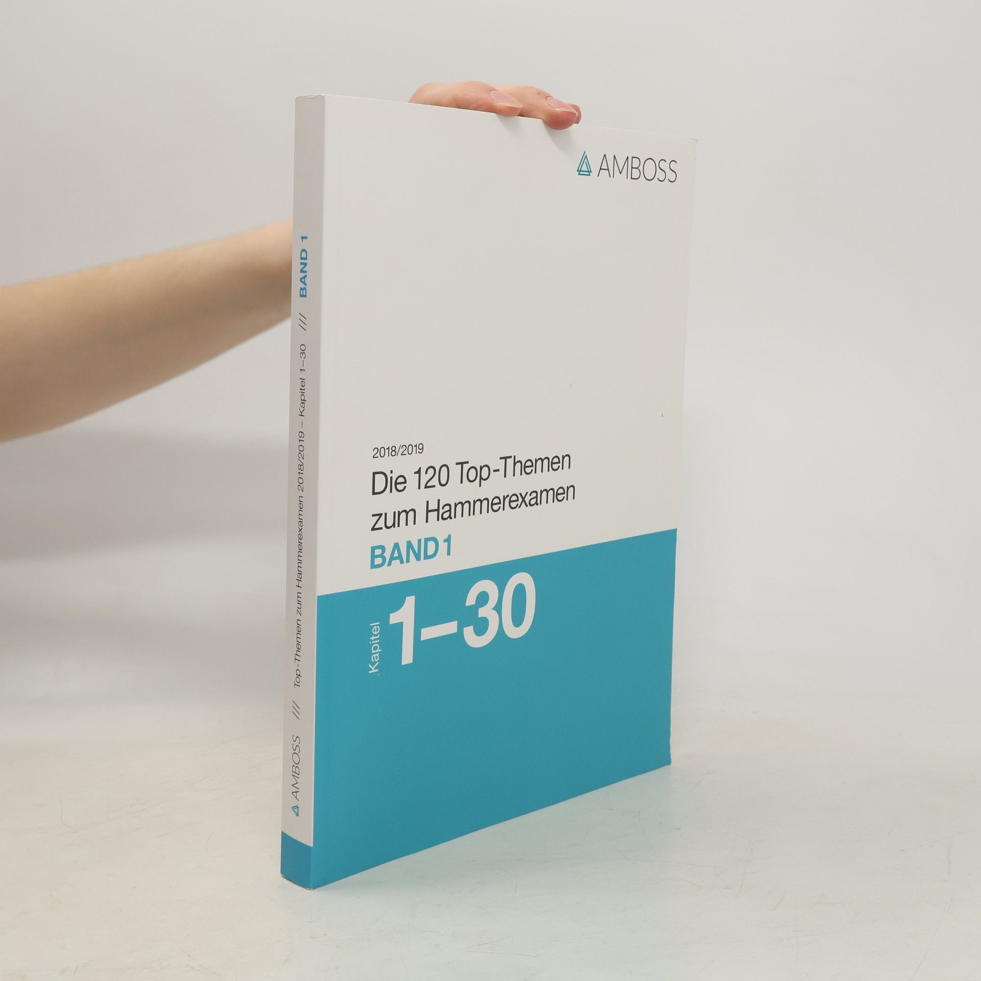 Autorenkollektiv Die 120 Top-Themen zum Hammerexamen 2018/2019. Band 1