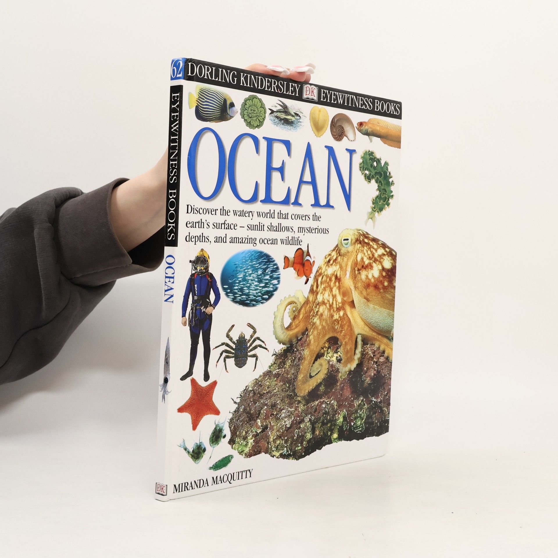 Miranda MacQuitty Ocean