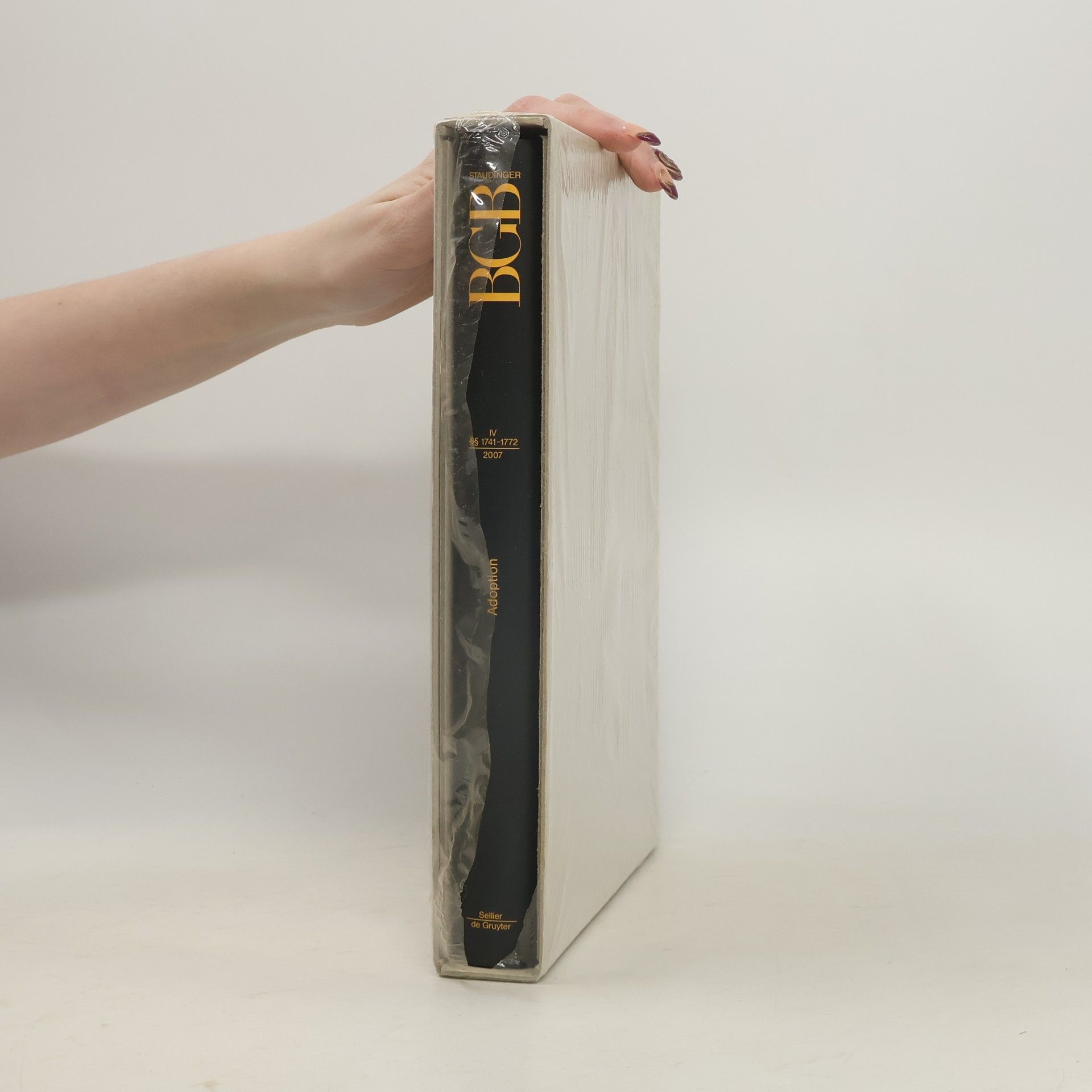 Frank-Rainer Schurich §§ 1741-1772