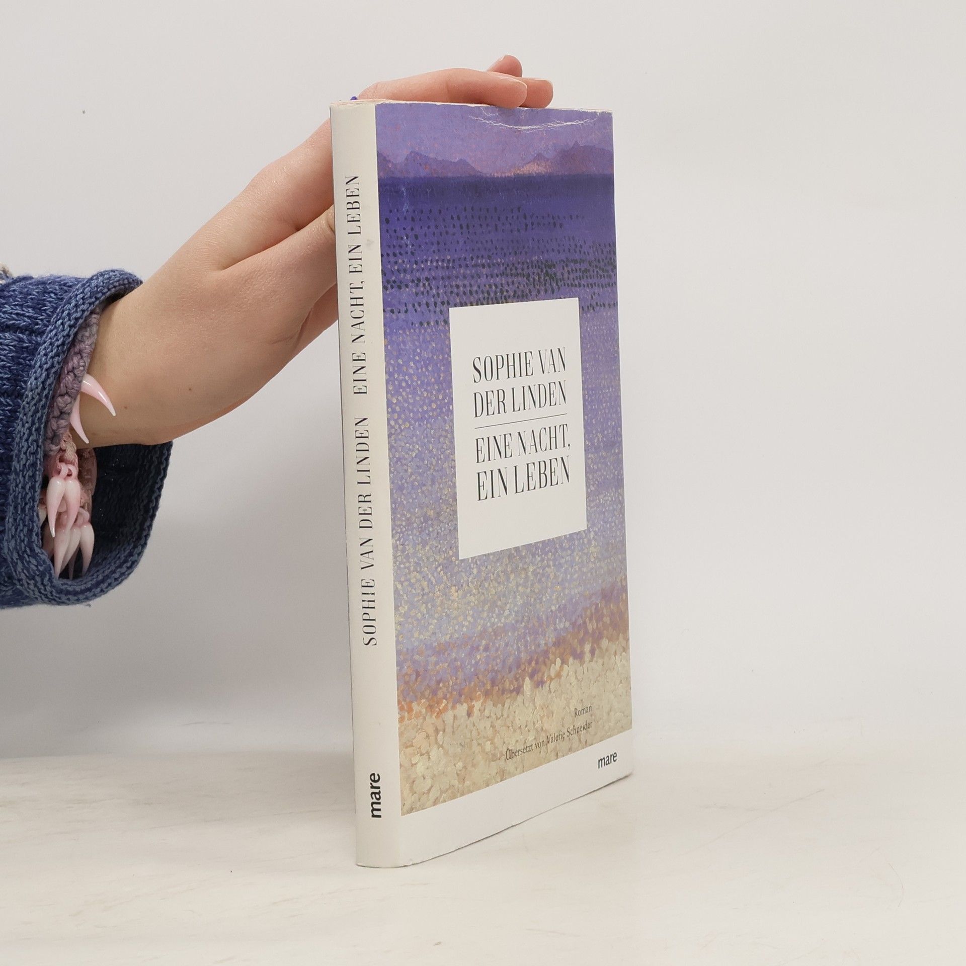 Sophie Van der Linden Eine Nacht, ein Leben