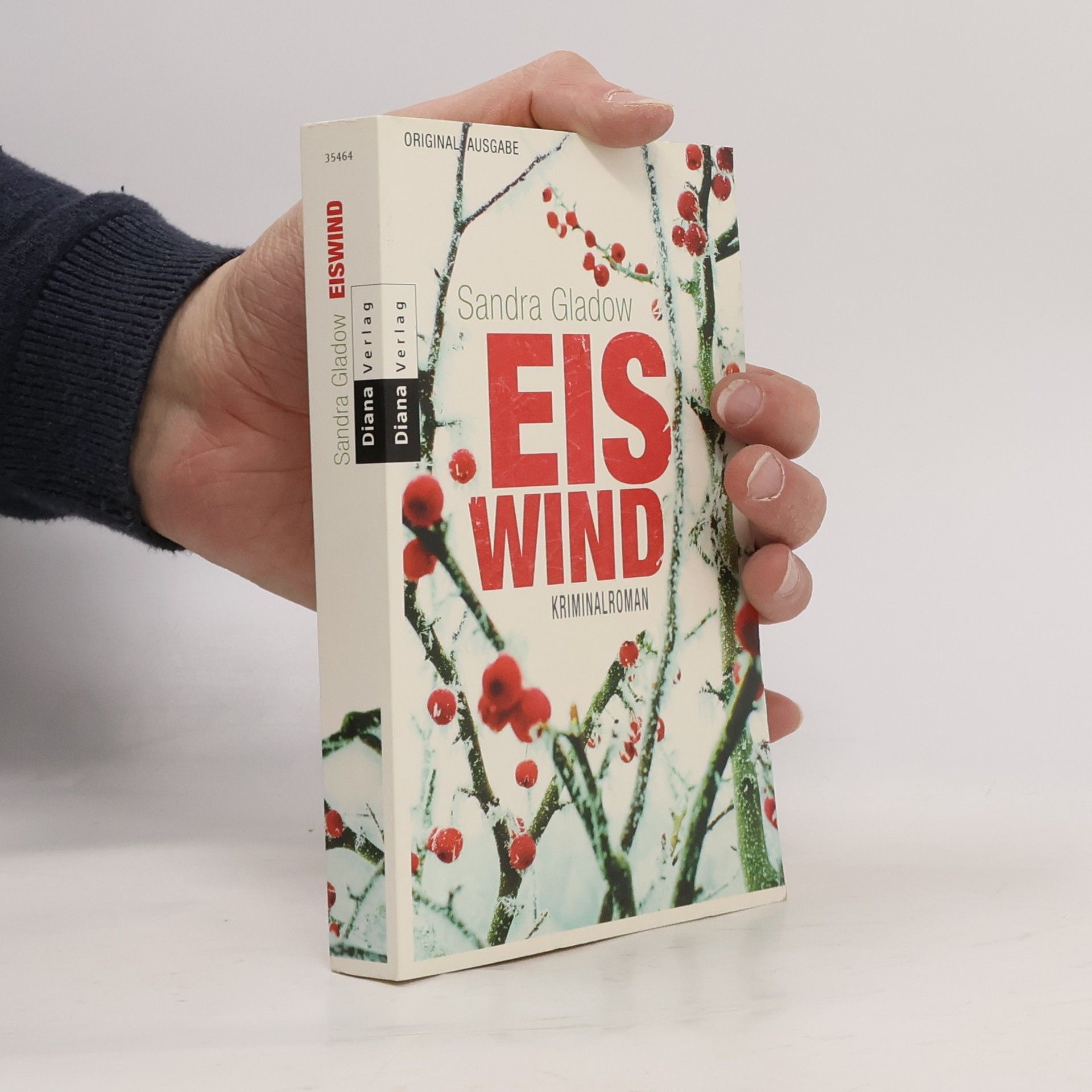 Sandra Gladow Eiswind