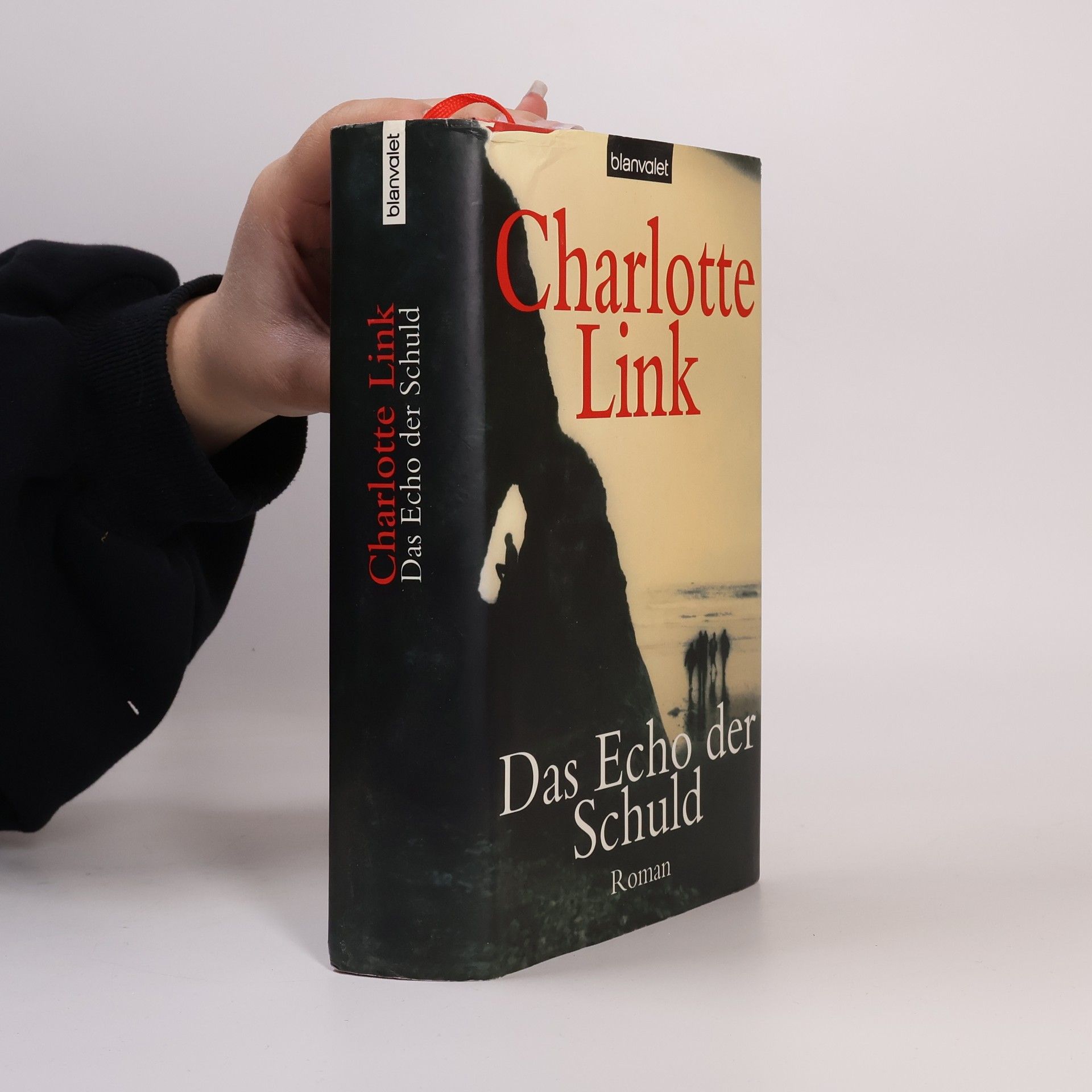 Charlotte Link Das Echo der Schuld
