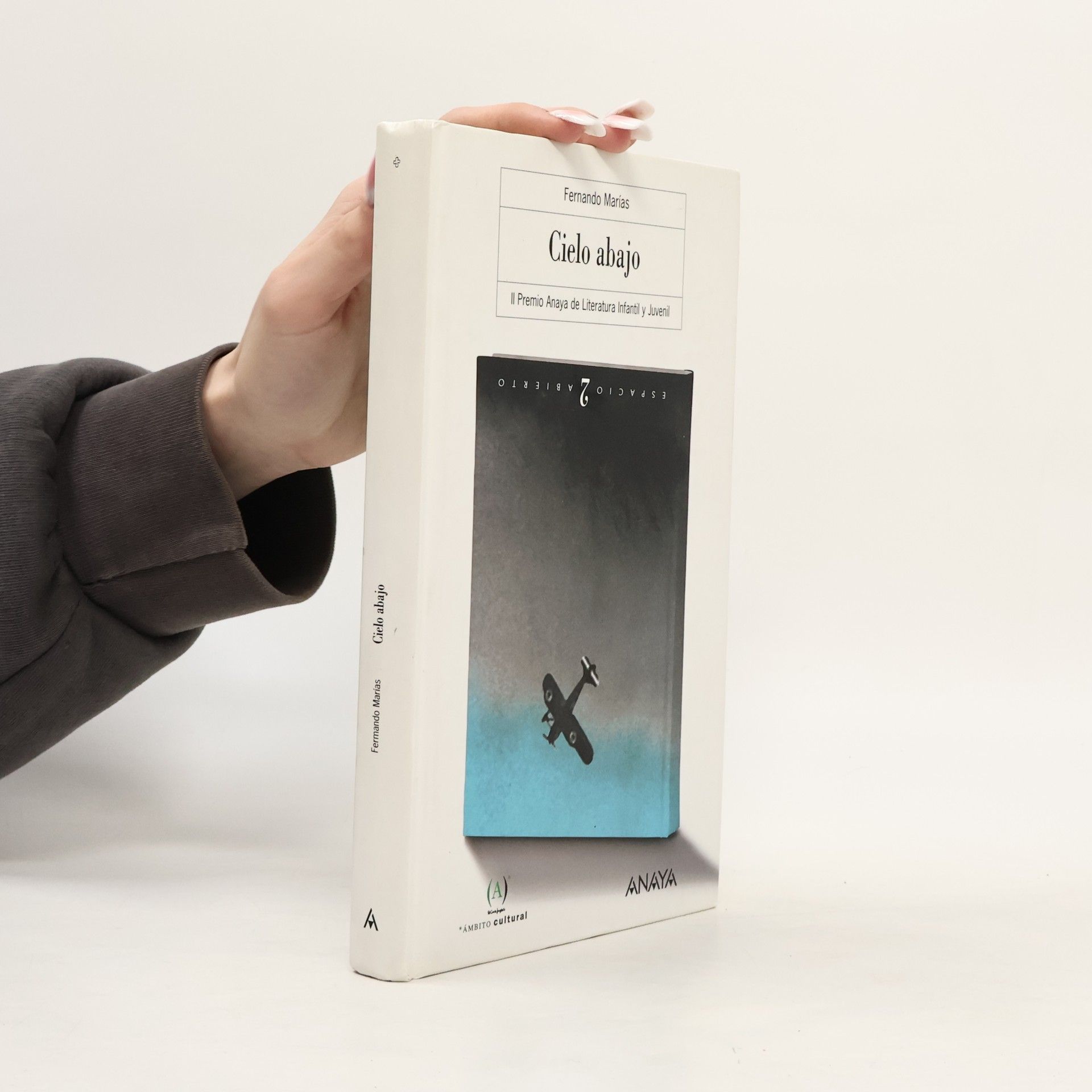 Fernando Marías Amondo Cielo abajo