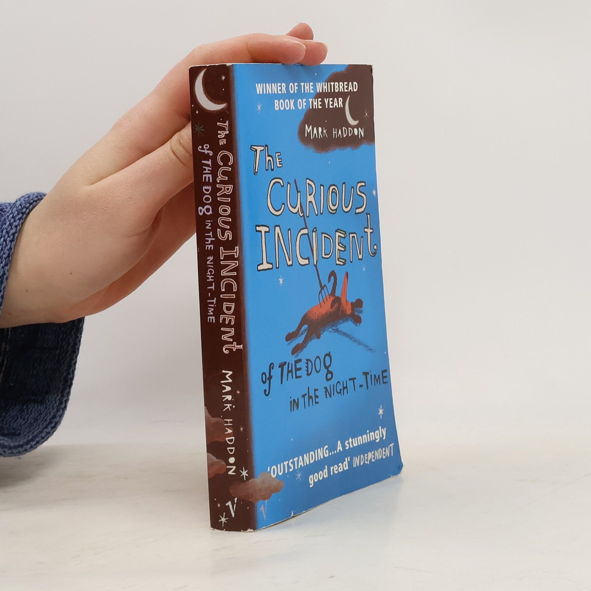 Mark Haddon The curious incident of the dog in the night-time