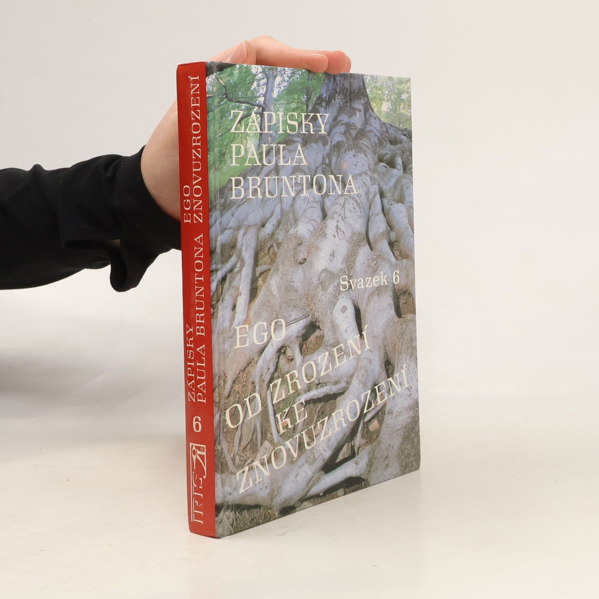 Paul Brunton Ego. Od zrození ke znovuzrození. Zápisky Paula Bruntona. (Svazek 6)