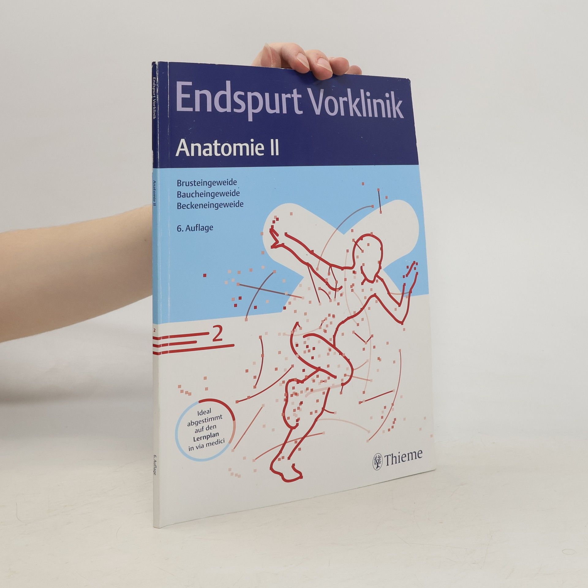 Georg Thieme Verlag Endspurt Vorklinik: Anatomie II