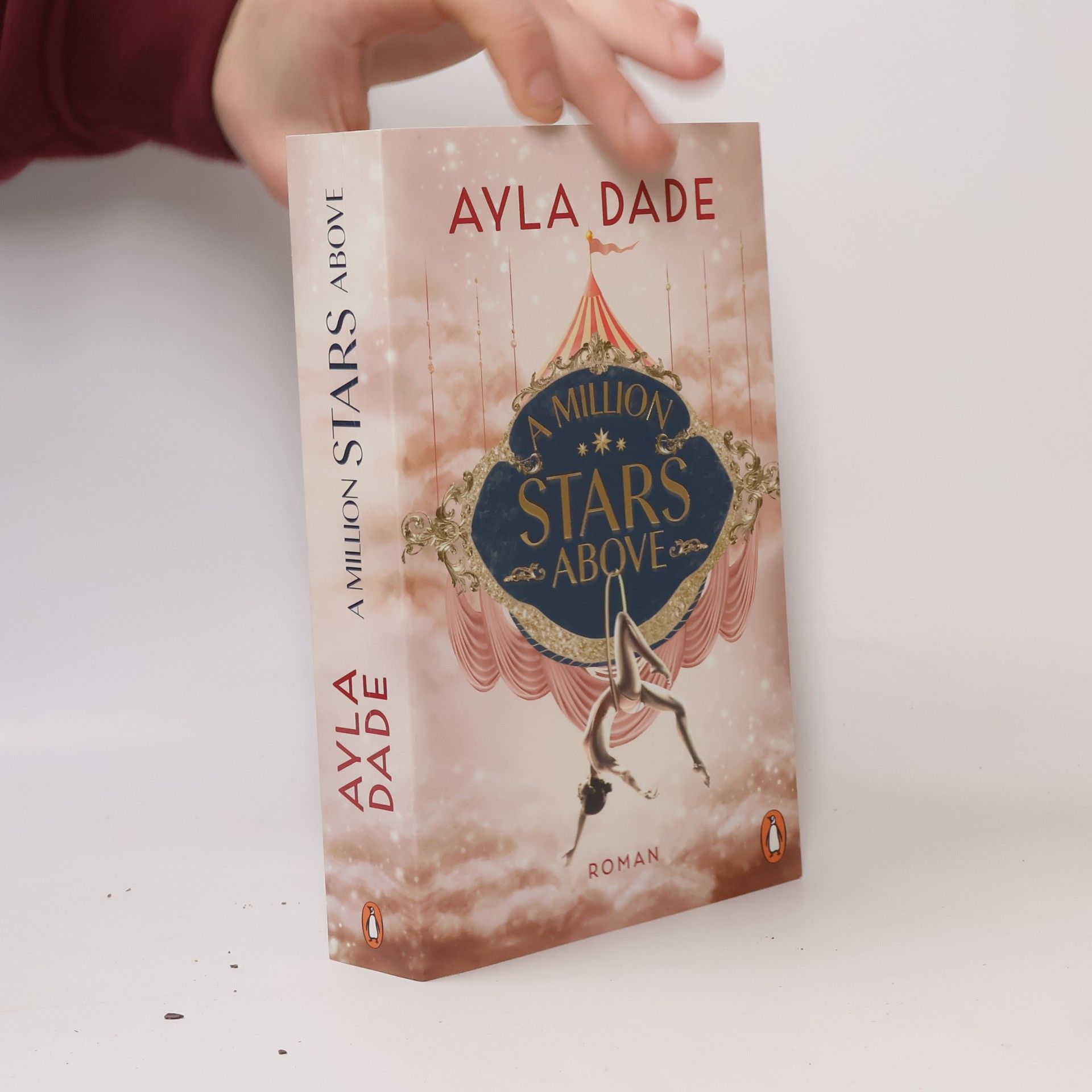 Ayla Dade A Million Stars Above / Sky Circus Bd.1