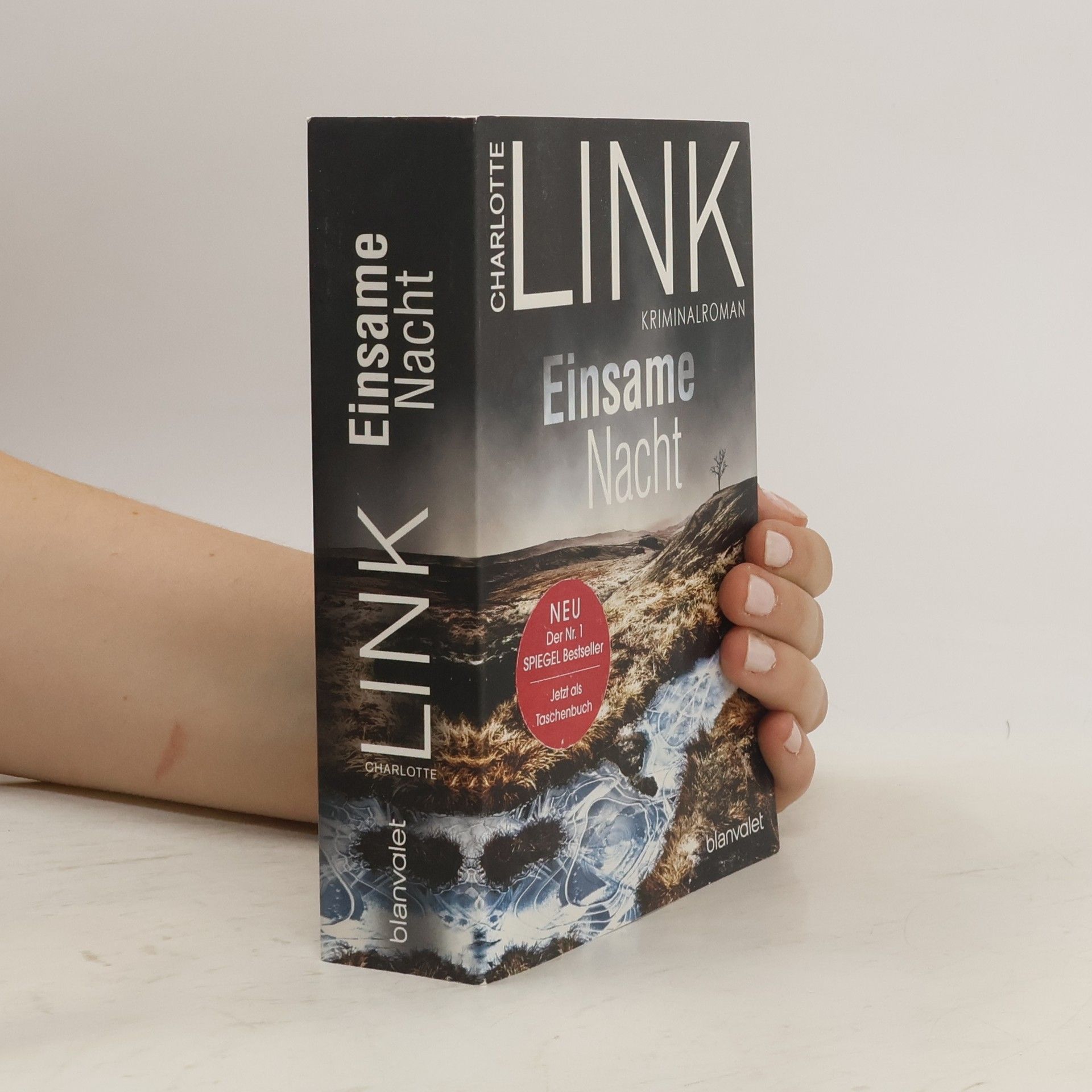 Charlotte Link Einsame Nacht