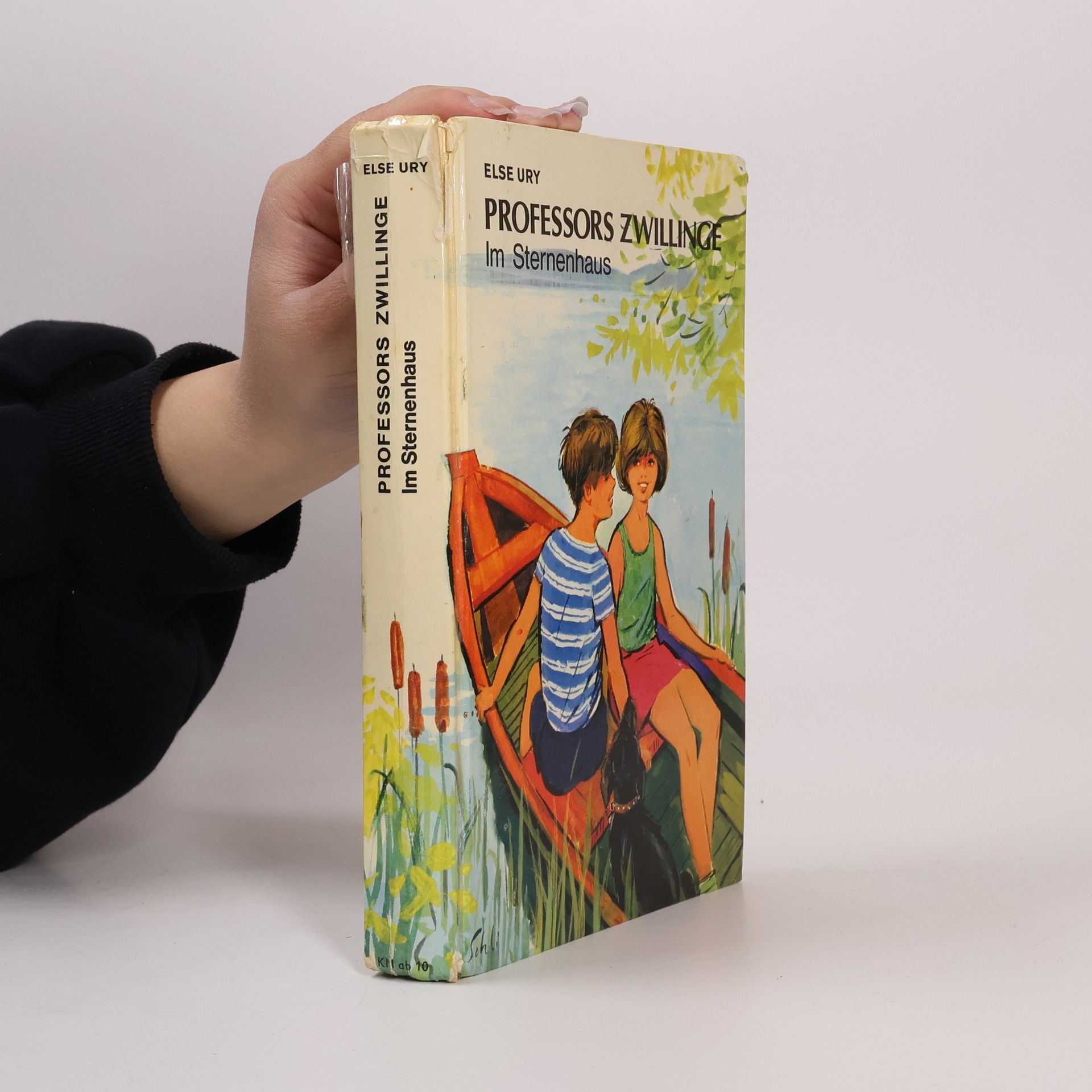 Else Ury Professors Zwillinge Im Sternenhaus