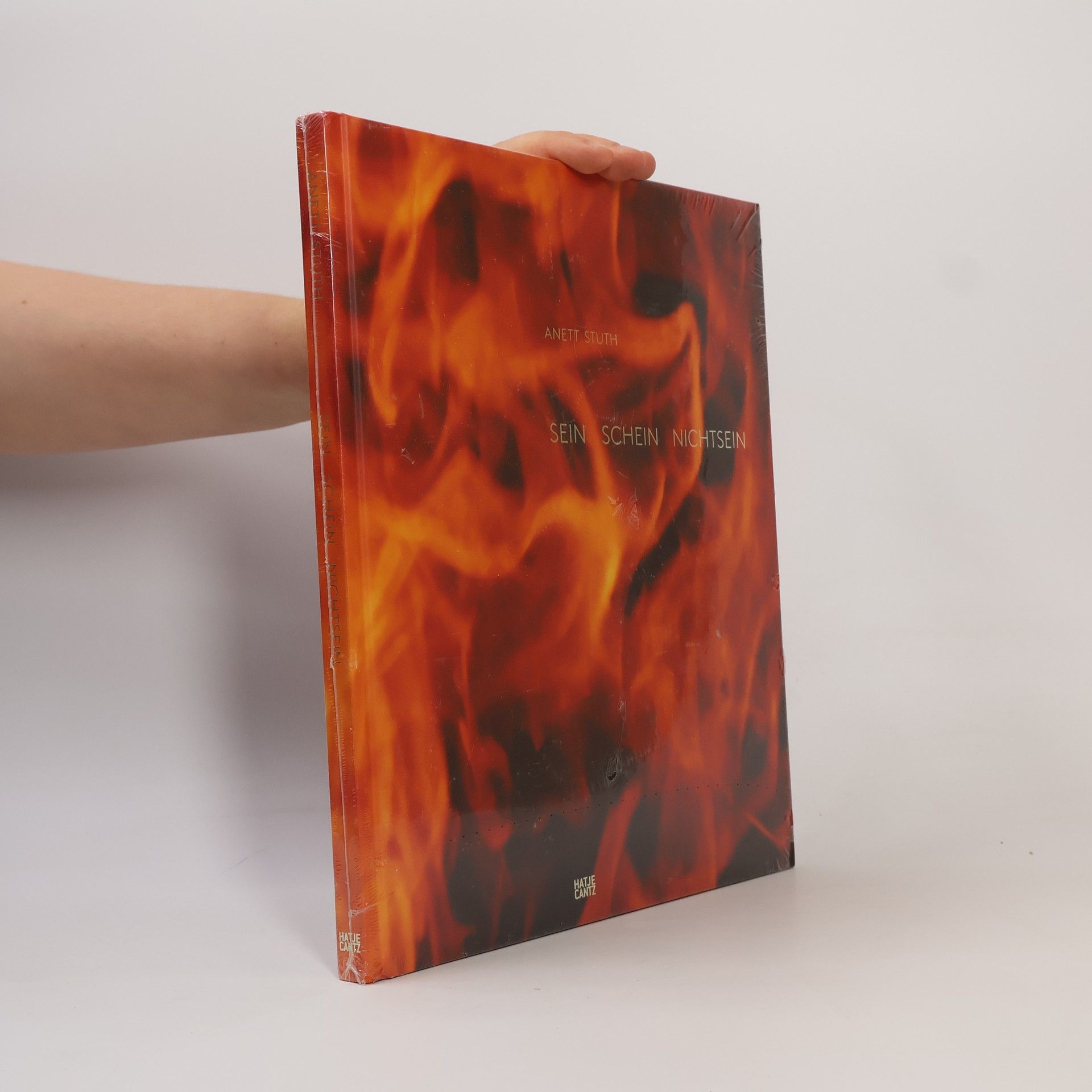 Anett Stuth Sein Schein Nichtsein