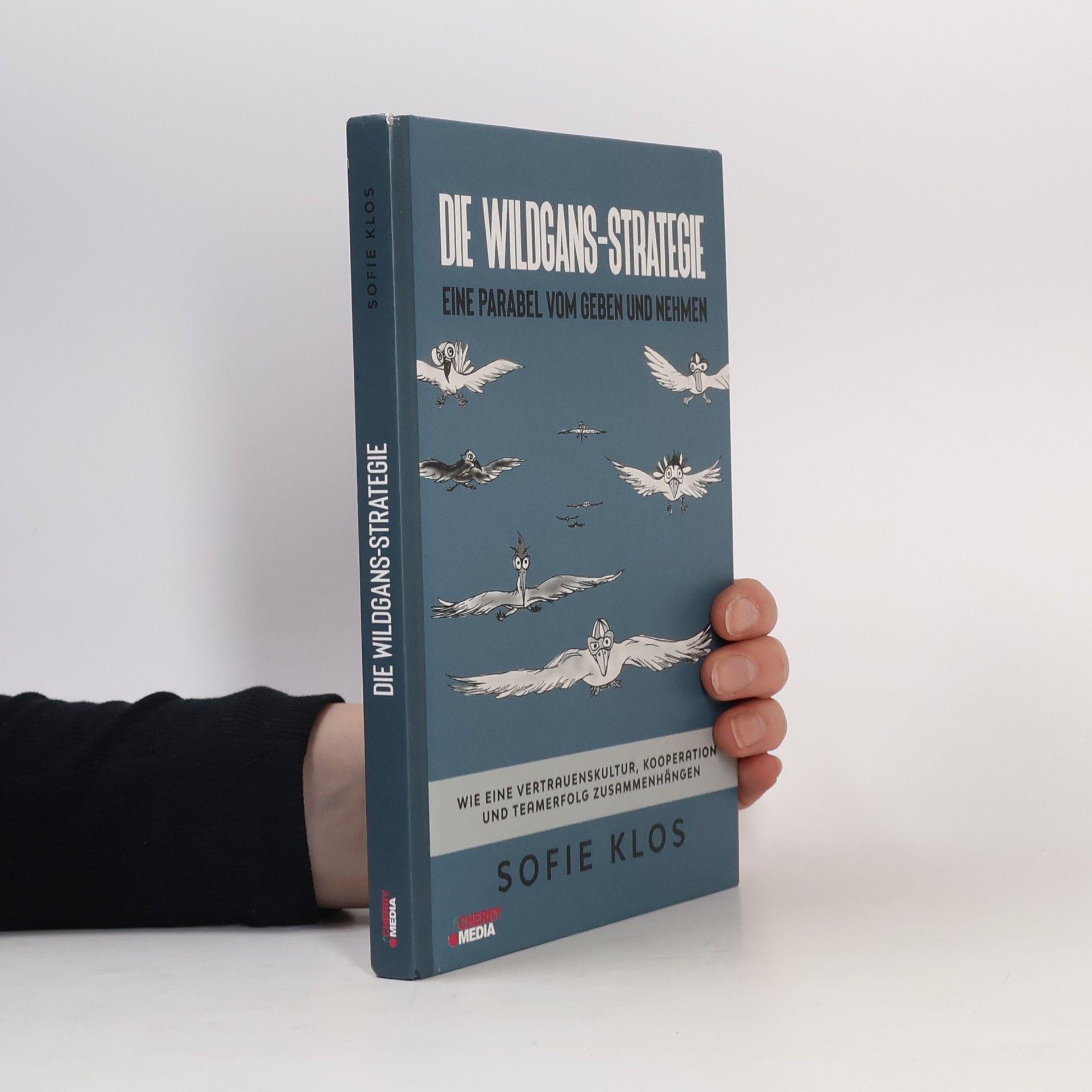 Sofie Klos Die Wildgans-Strategie - Eine Parabel vom Geben und Nehmen