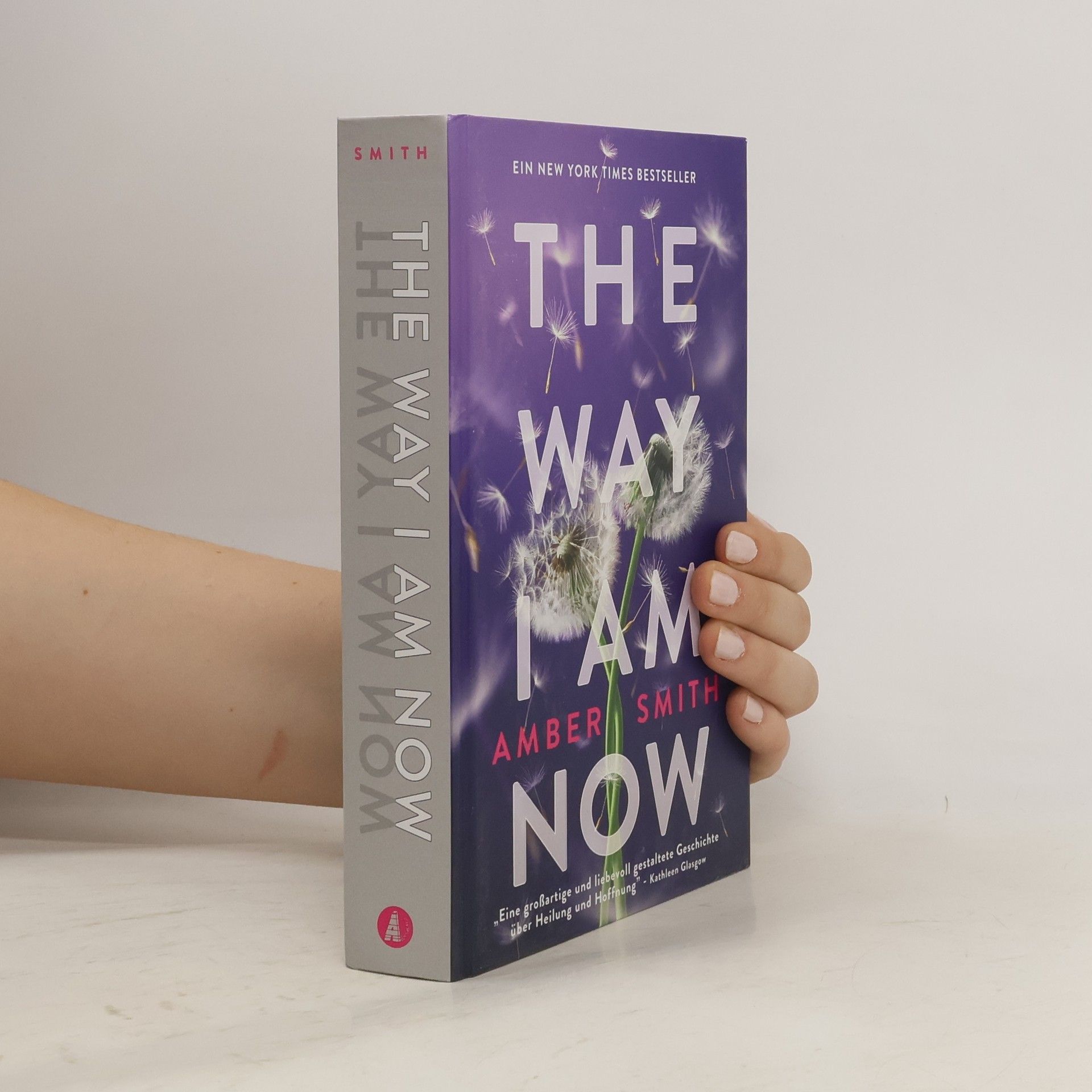 Amber Smith The Way I am Now