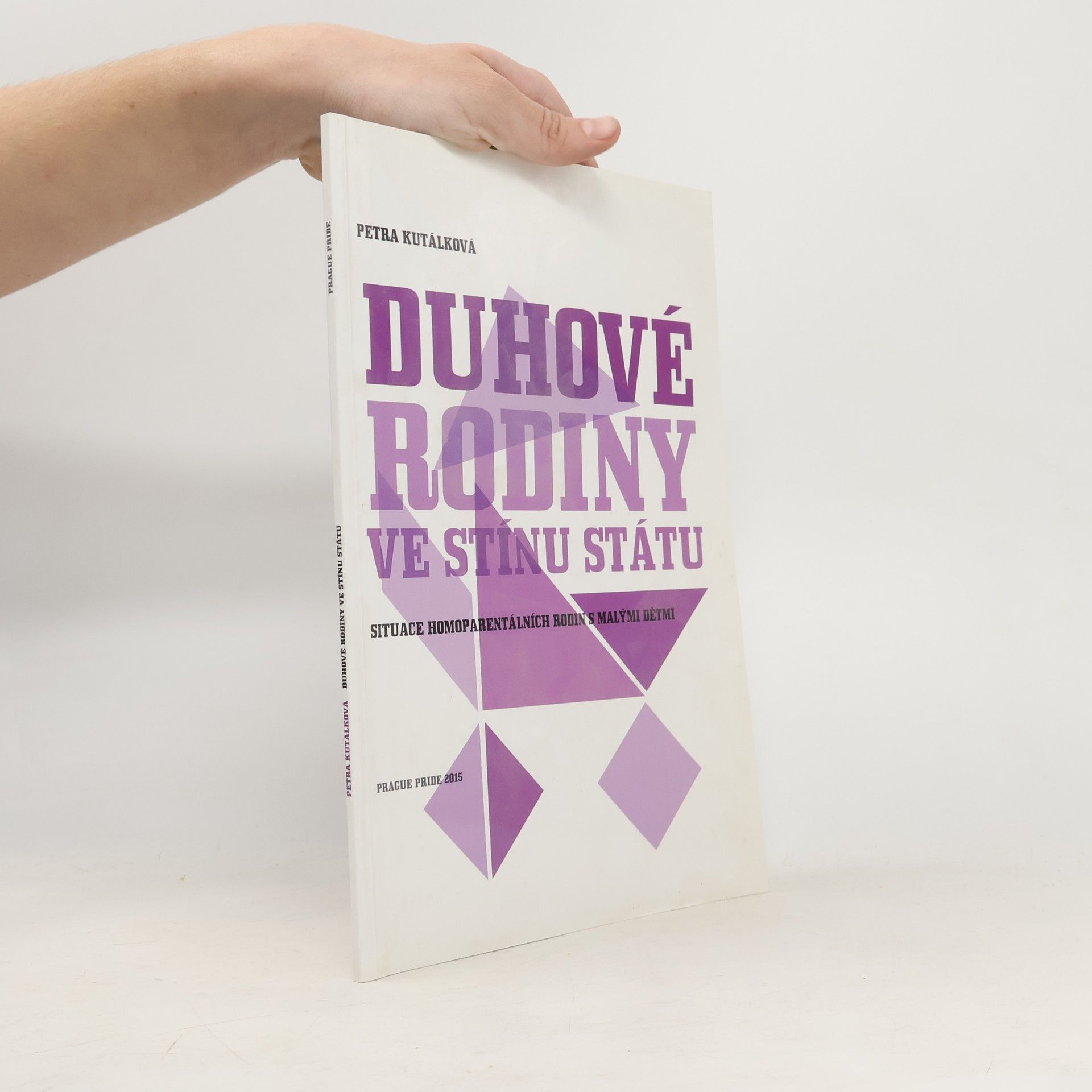 Duhové rodiny ve stínu státu : situace homoparentálních rodin s malými dětmi