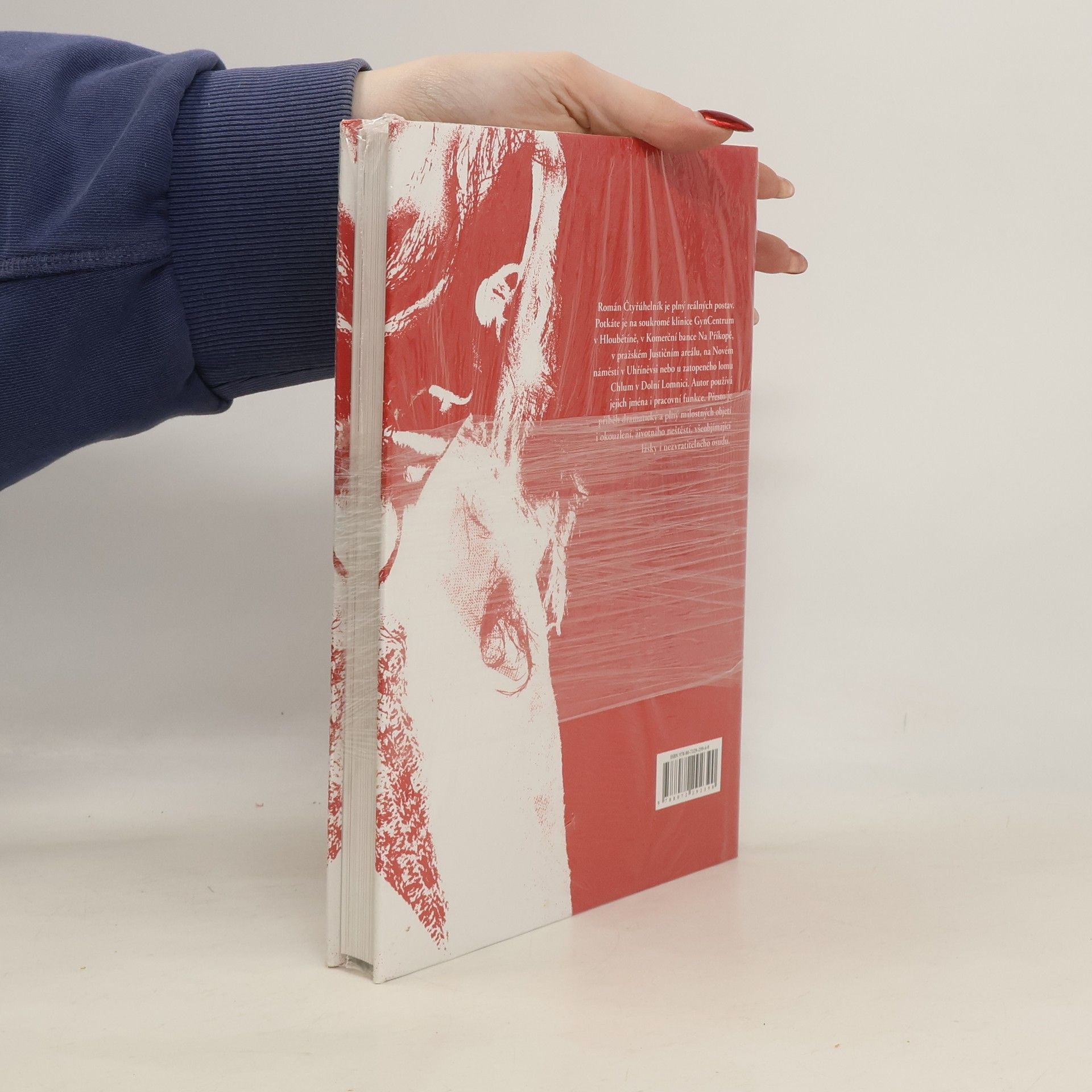 Ludvík Hess Čtyřúhelník. Příběh Péti z babyboxu
