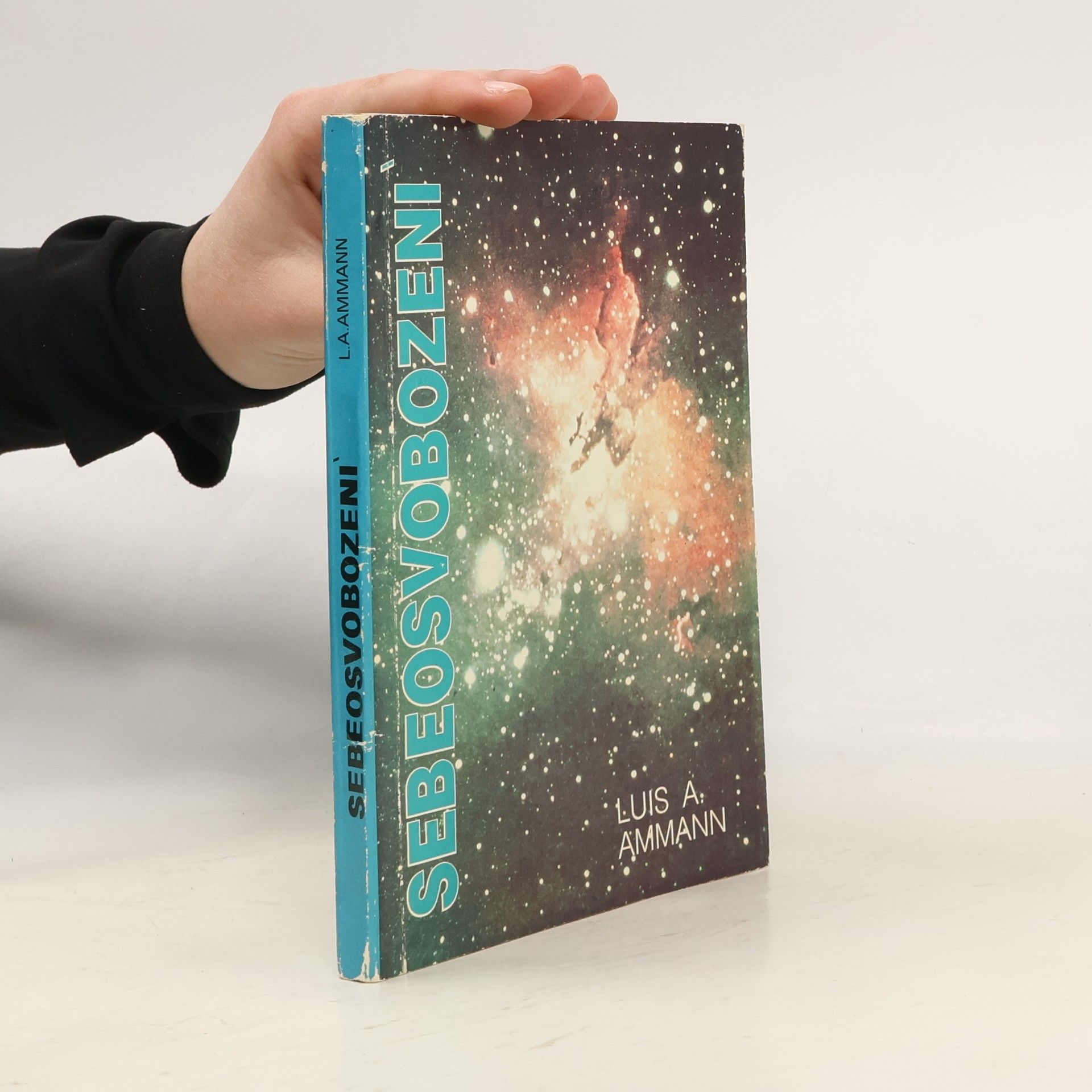 Luis Alberto Ammann Sebeosvobození