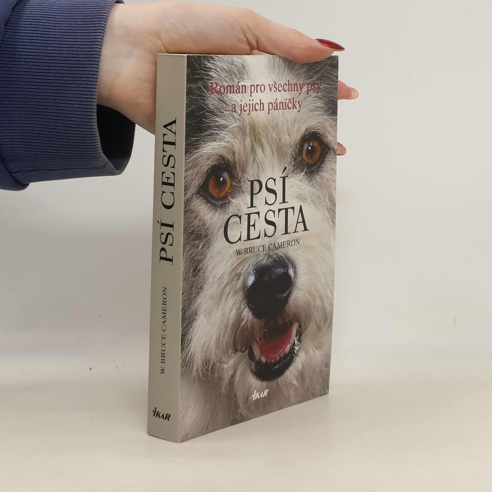 W. Bruce Cameron Psí cesta