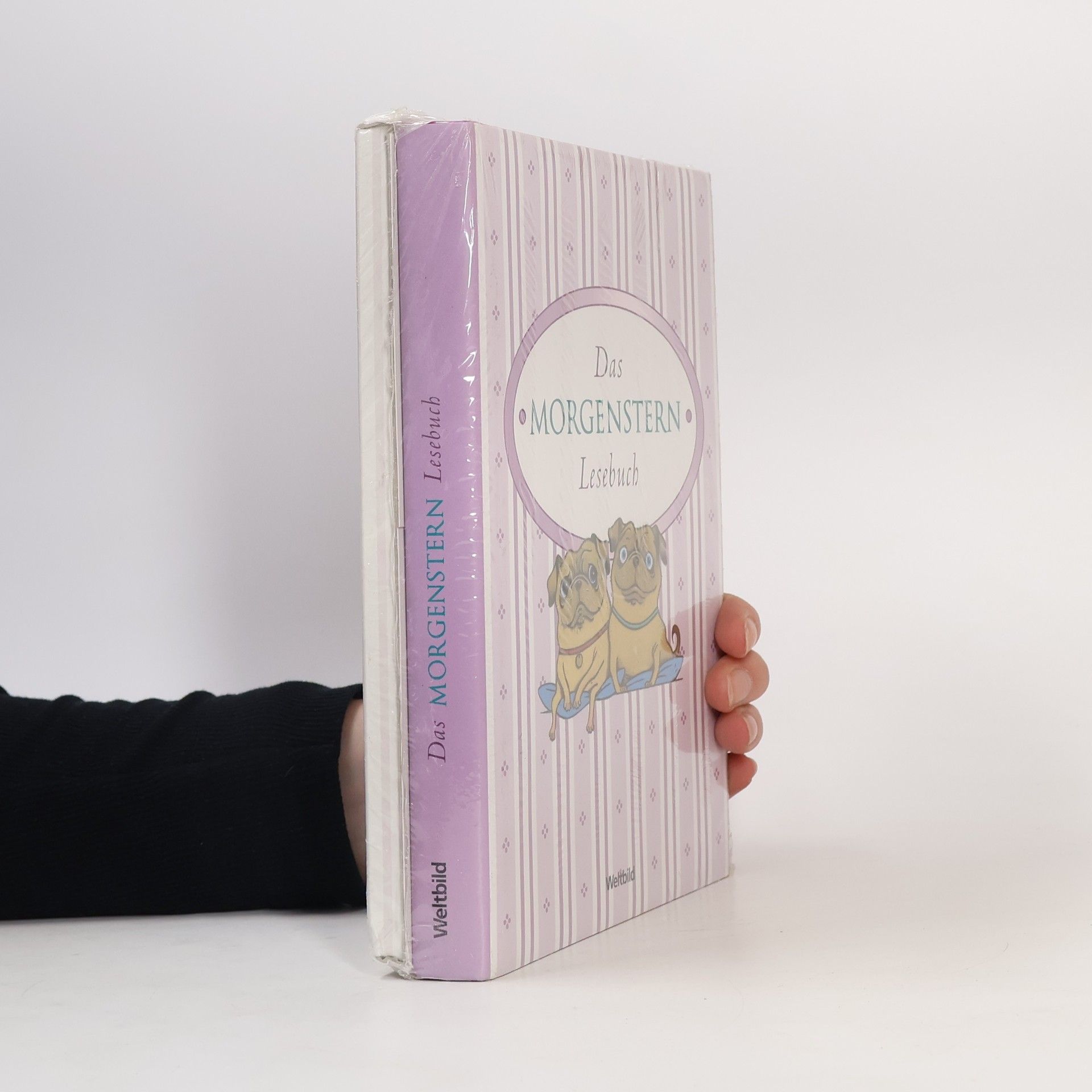 Christian Morgenstern Das Morgenstern-Lesebuch