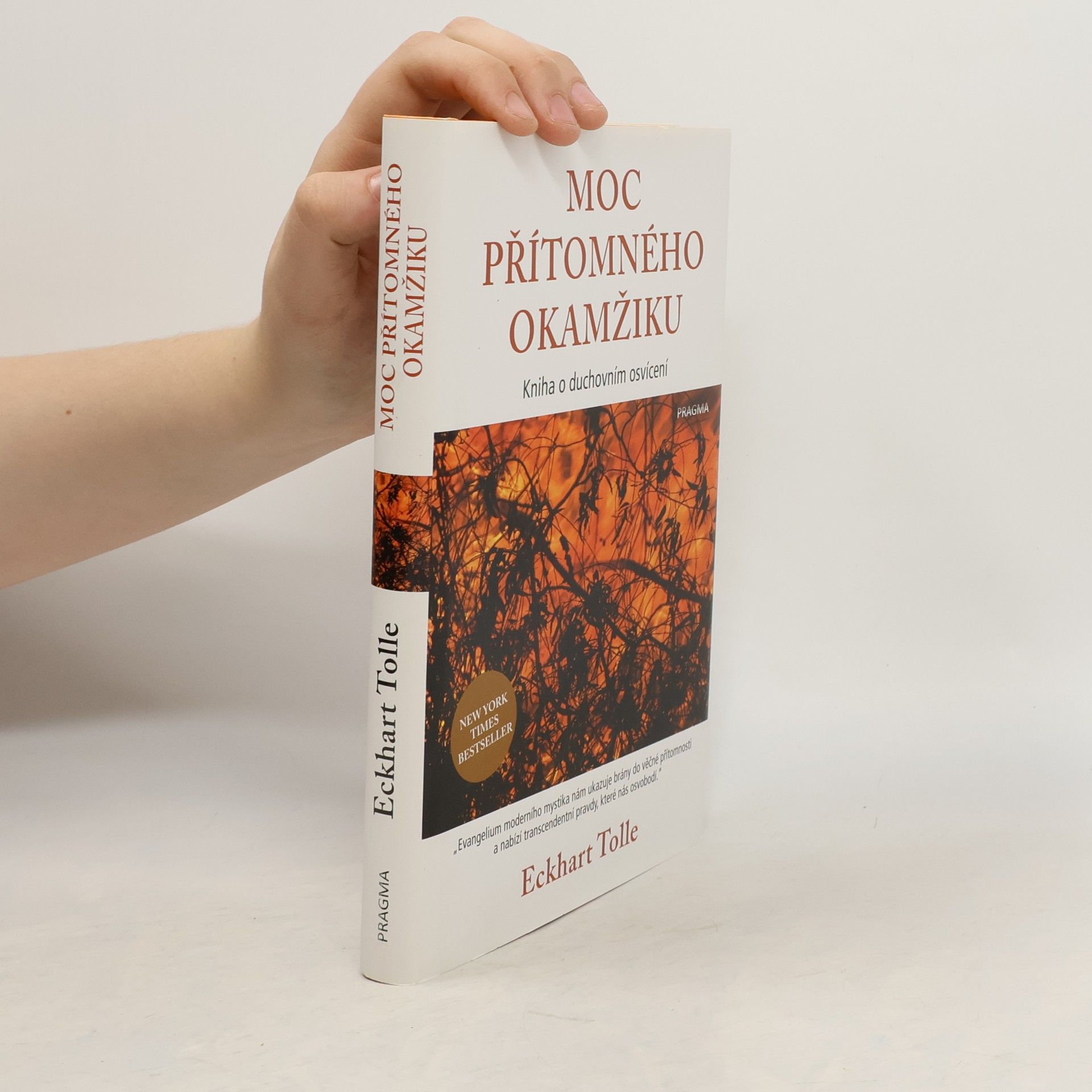 Eckhart Tolle Moc přítomného okamžiku