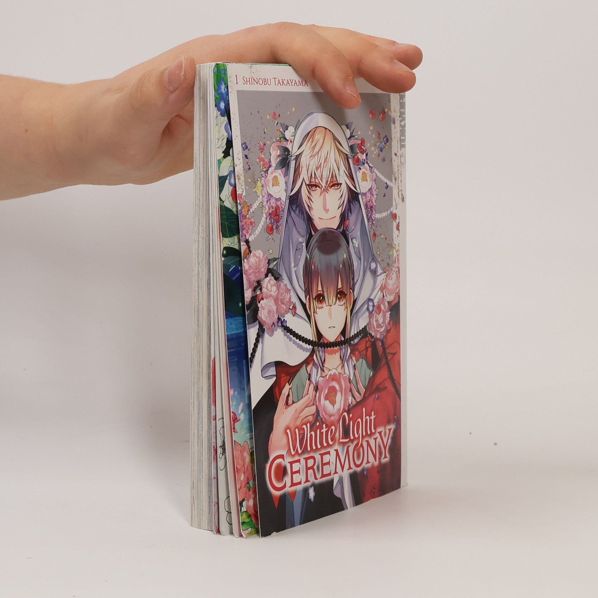 Shinobu Takayama White light ceremony 1