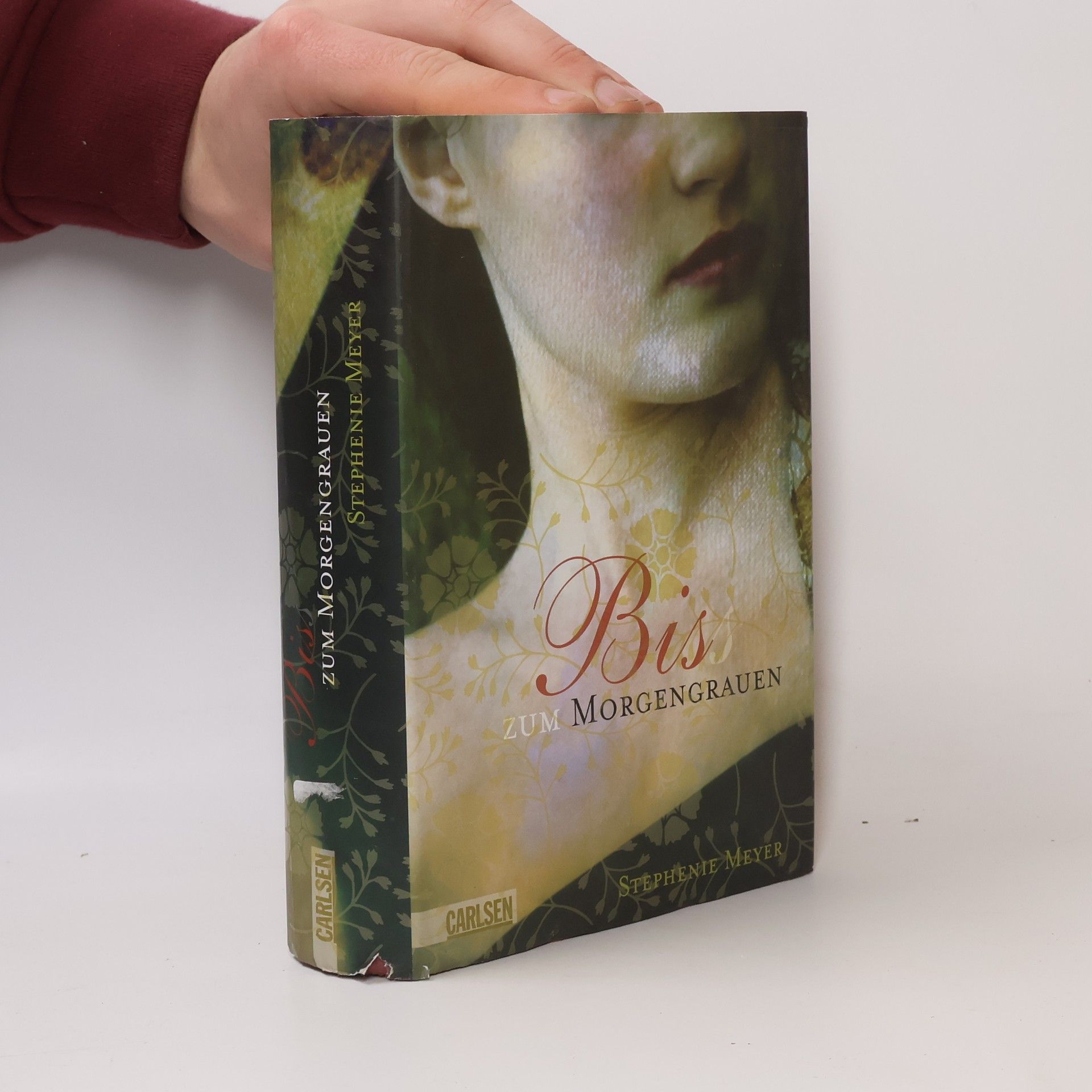 Stephenie Meyer Biss zum Morgengrauen