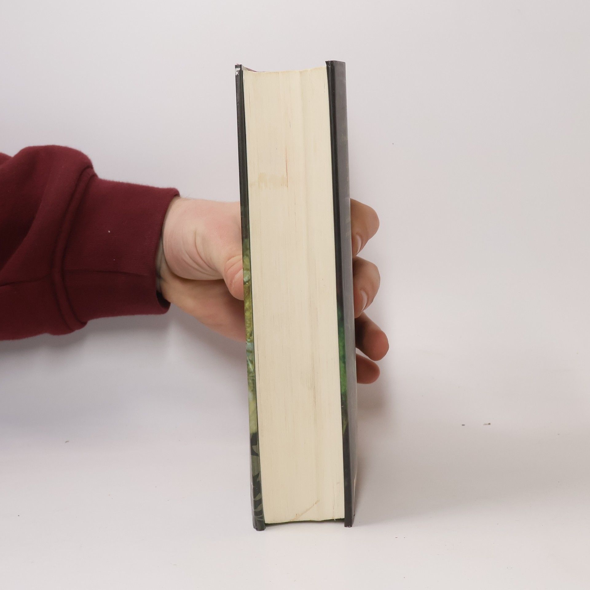 Stephenie Meyer Biss zum Morgengrauen
