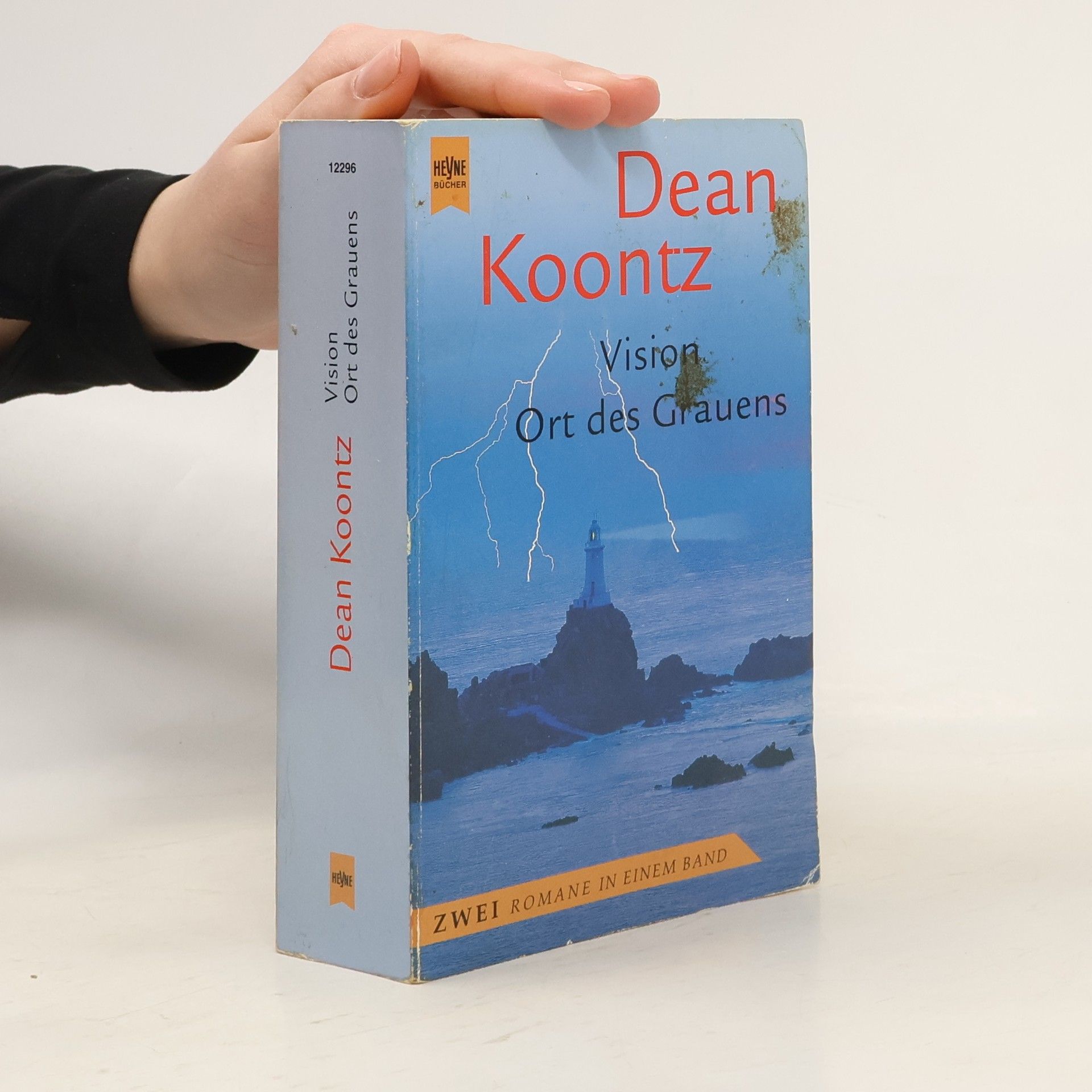 Dean R. Koontz Vision. Ort des Grauens.