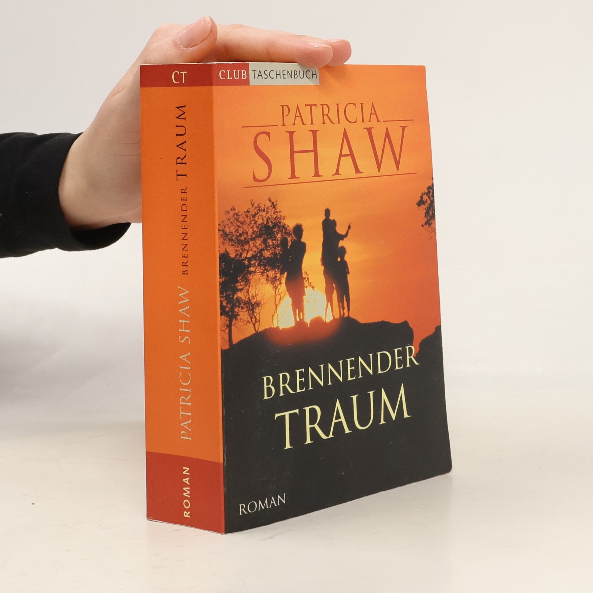 Patricia Shaw Brennender Traum