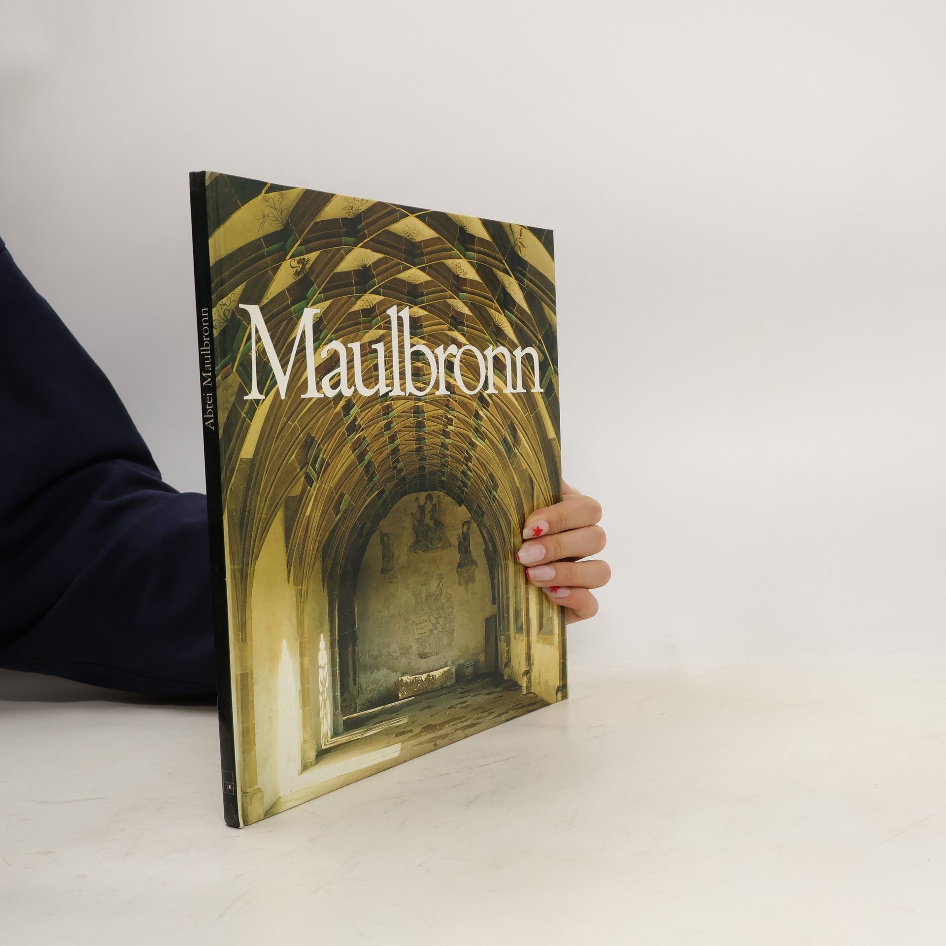 Günter Braus Abtei Maulbronn