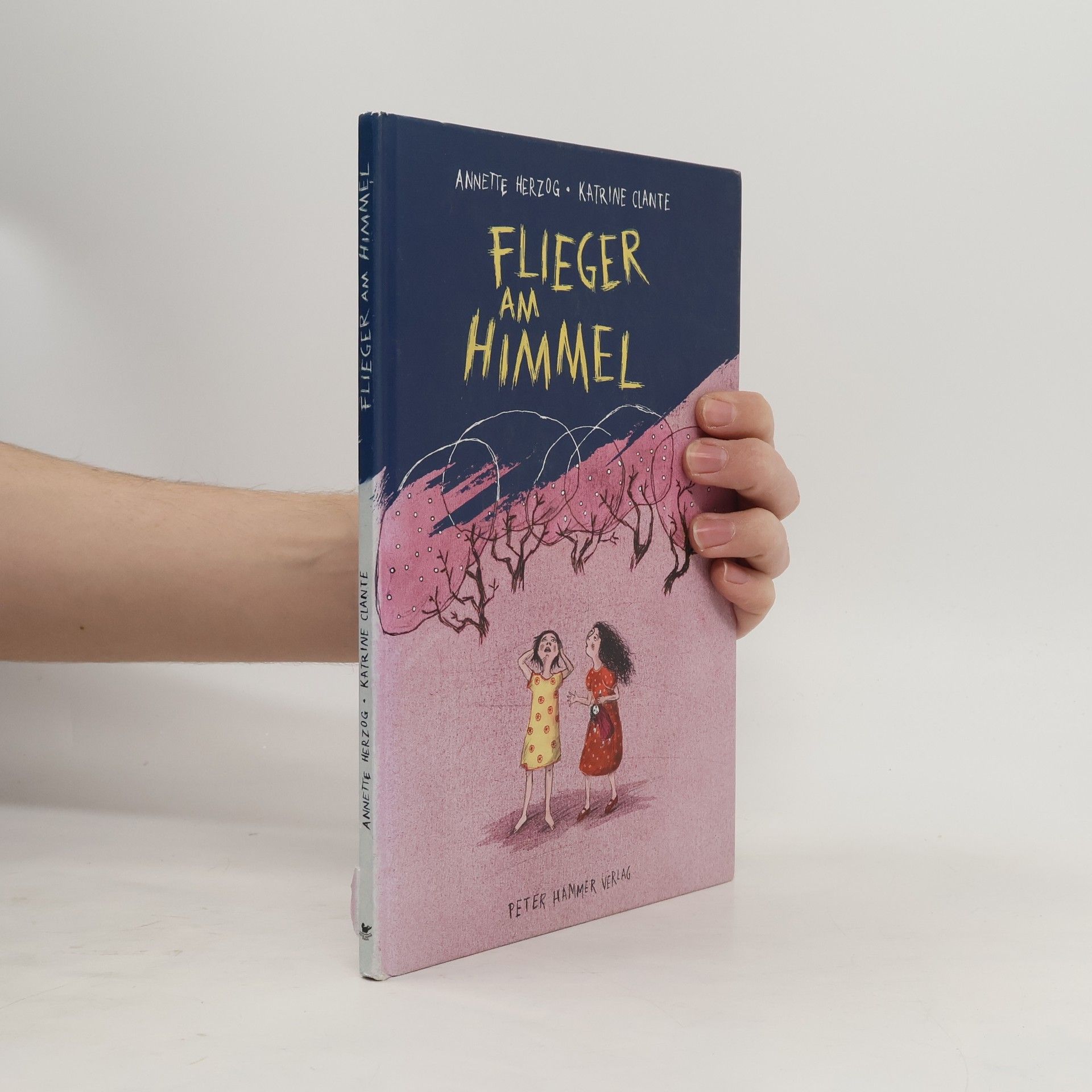 Annette Herzog Flieger am Himmel