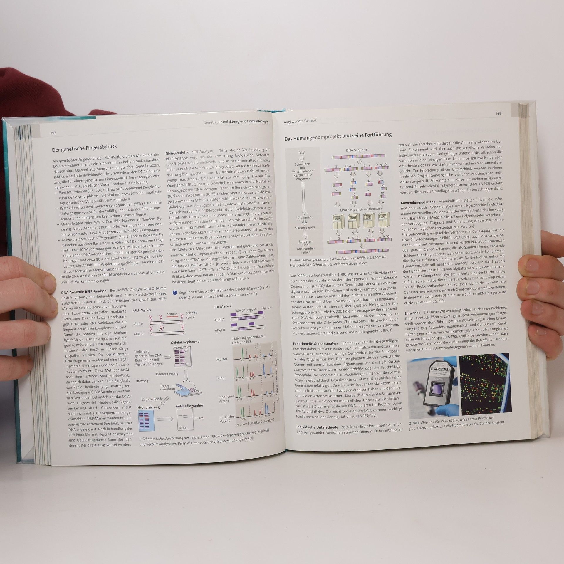Autorenkollektiv Gesamtband Biologie Oberstufe