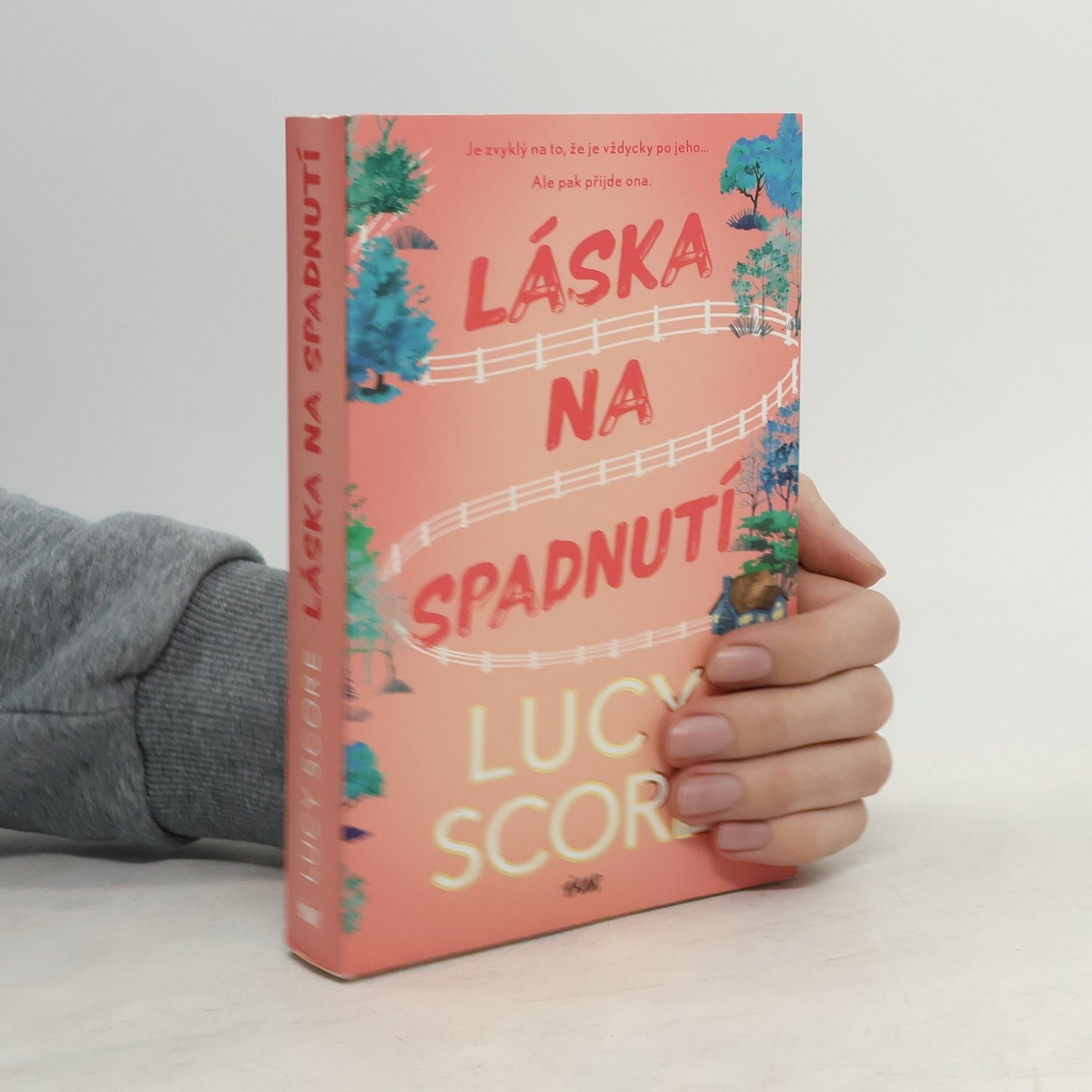 Lucy Score Láska na spadnutí