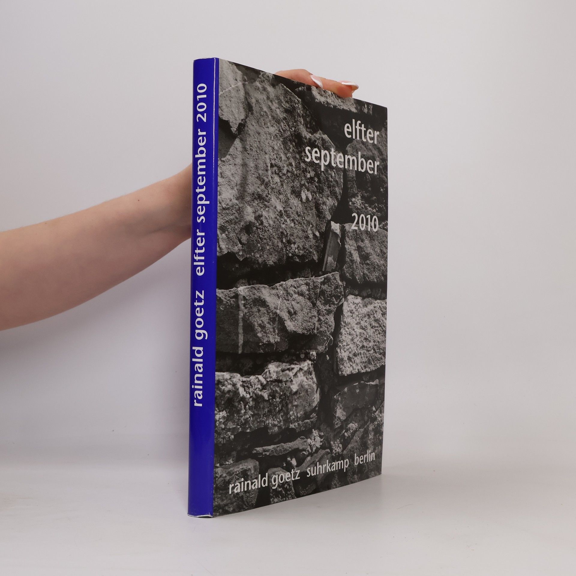 Rainald Goetz Elfter September 2010. Bilder eines Jahrzehnts