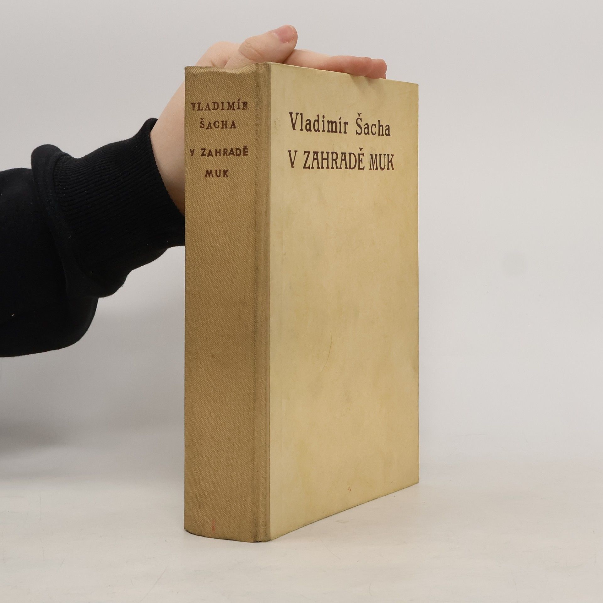 Vladimír Šacha V zahradě muk