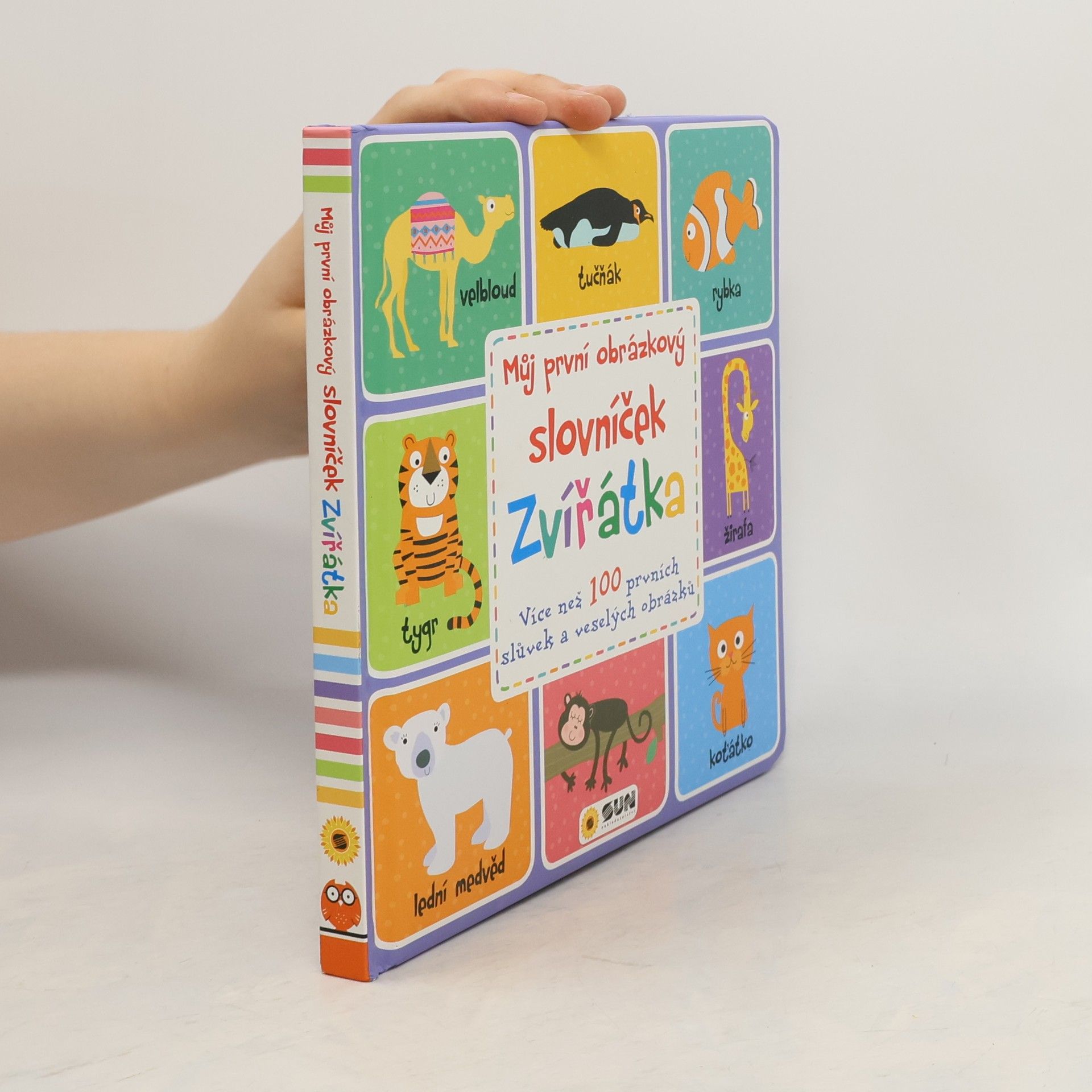 Maxine Davenport Můj první obrázkový slovníček