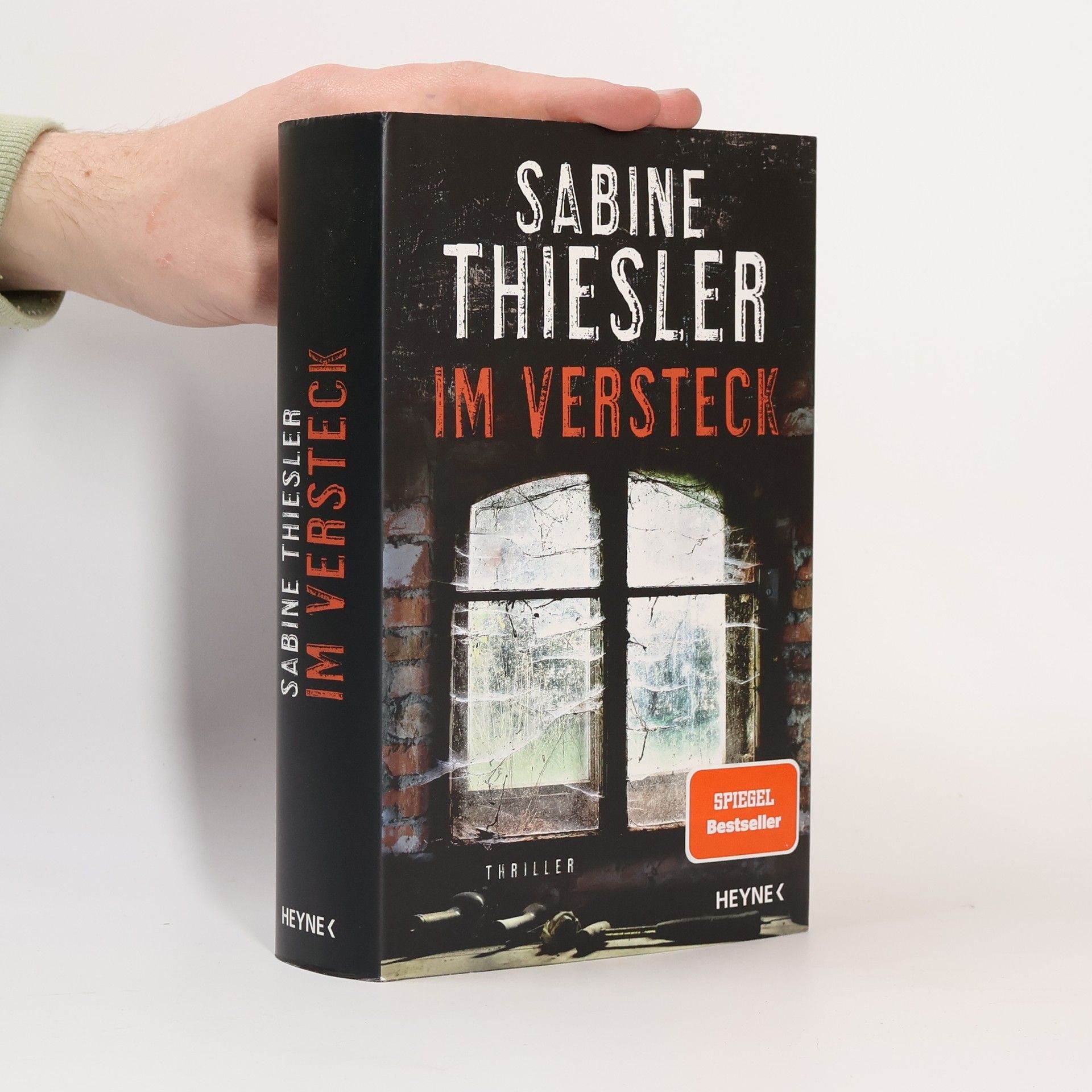 Sabine Thiesler Im Versteck