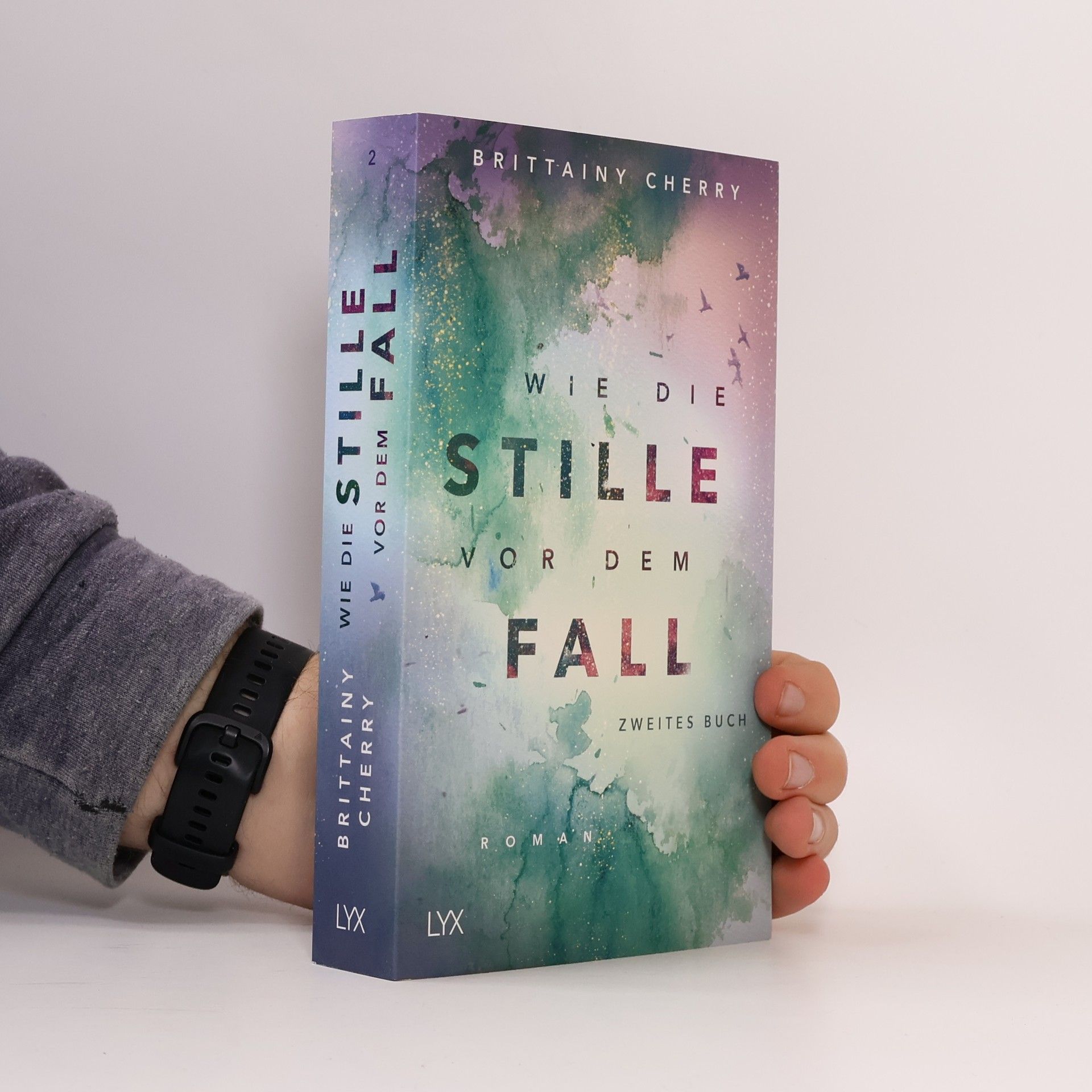 Brittainy C. Cherry Wie die Stille vor dem Fall 2