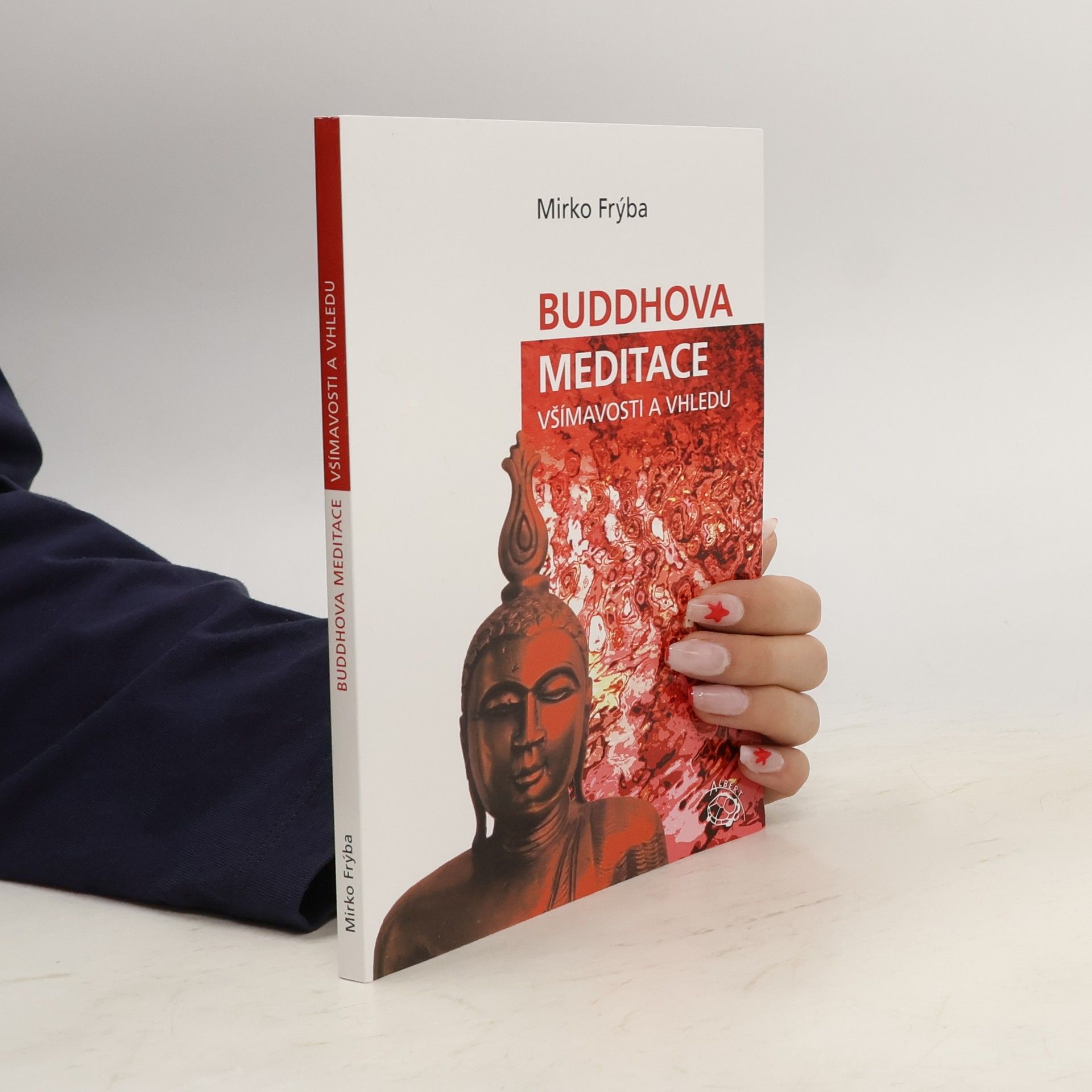 Mirko Frýba Buddhova meditace všímavosti a vhledu