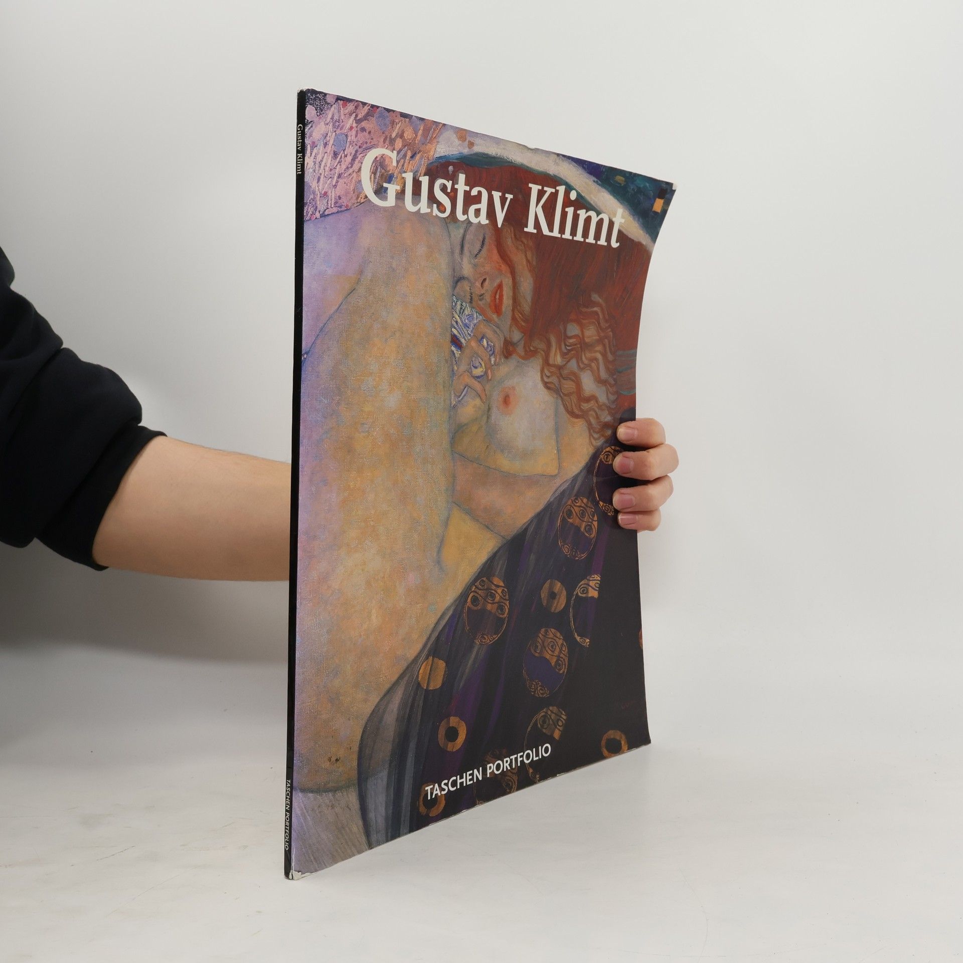 Gustav Klimt Portfolio: Gustav Klimt