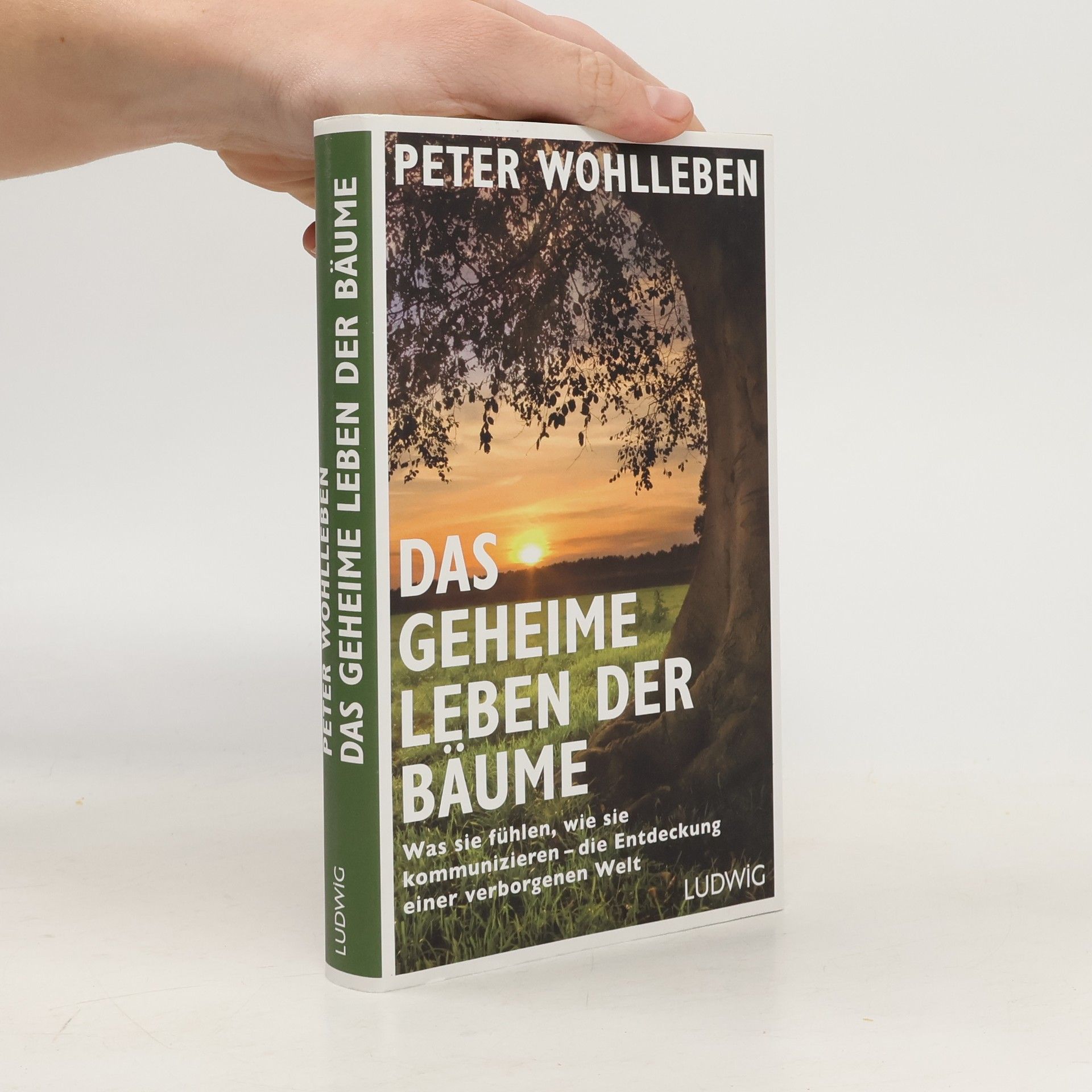 Peter Wohlleben Das geheime Leben der Bäume