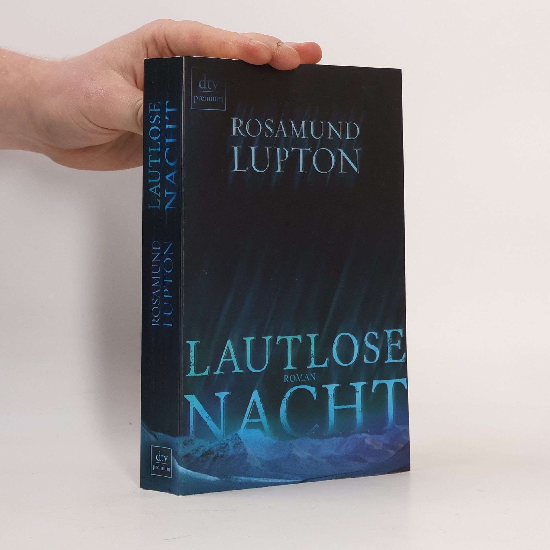 Rosamund Lupton Lautlose Nacht